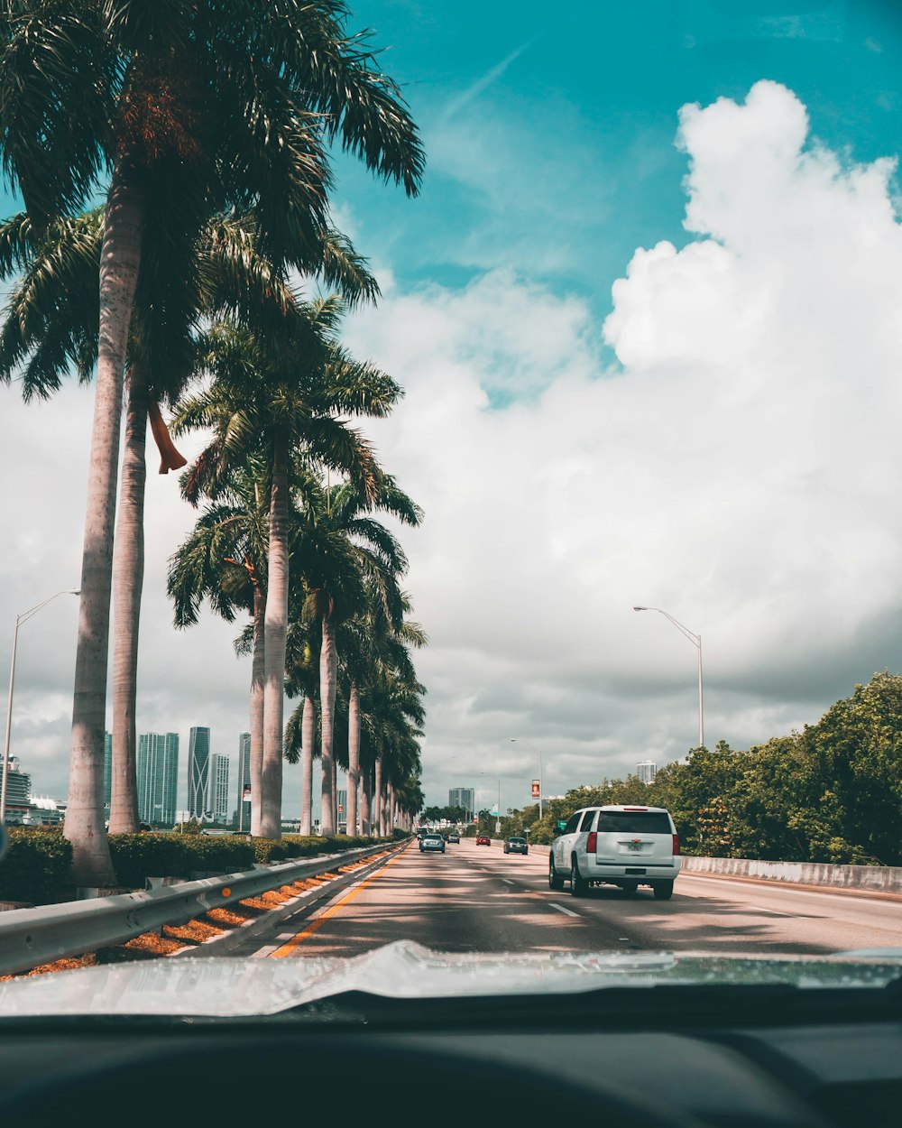 vehicles on road beside trees