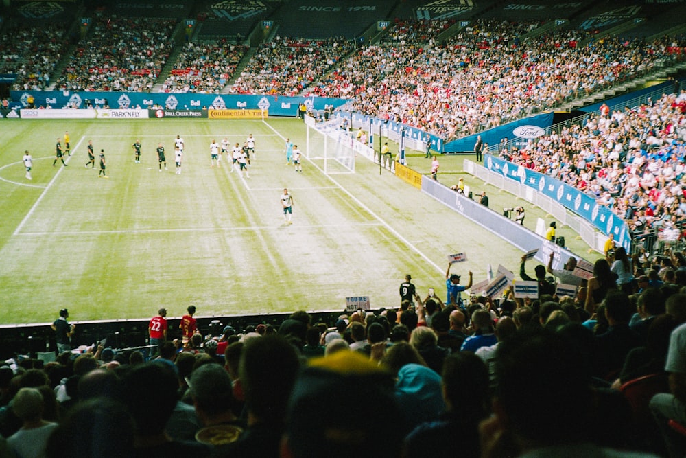 group of people watching soccer games