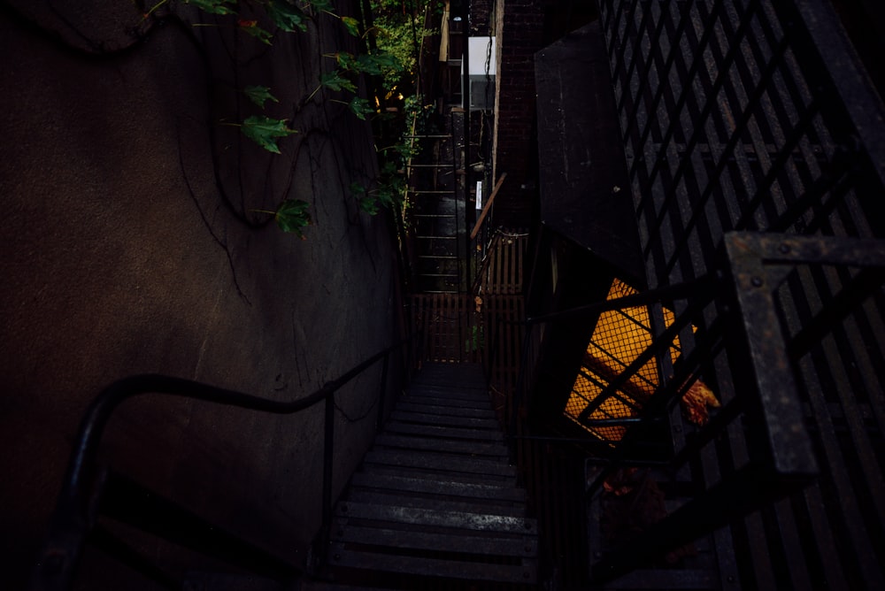 black metal staircase with green vines