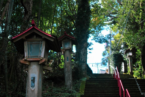 Discovering Tokushima: A Genuine Japanese Experience