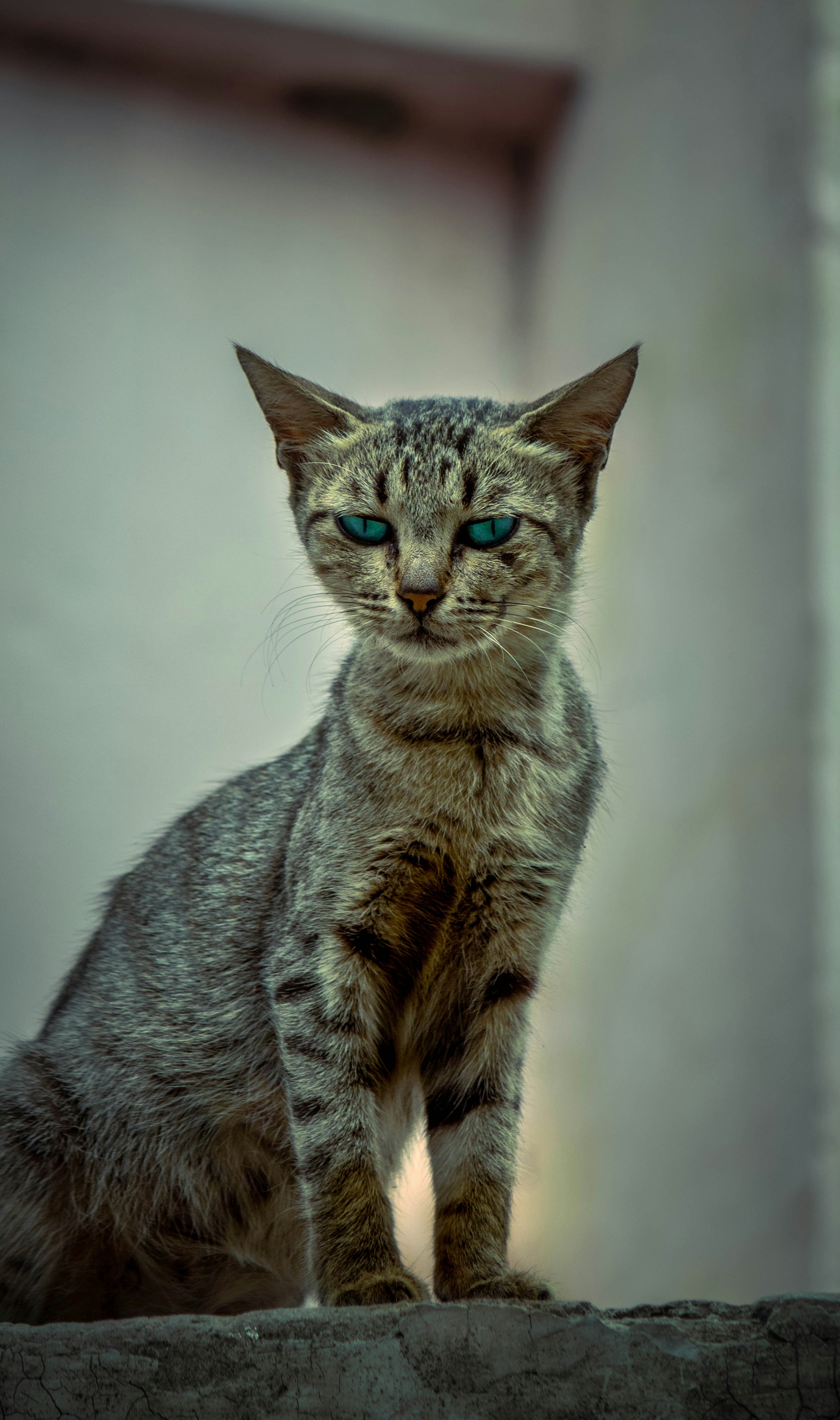 Photo by jeanmich312