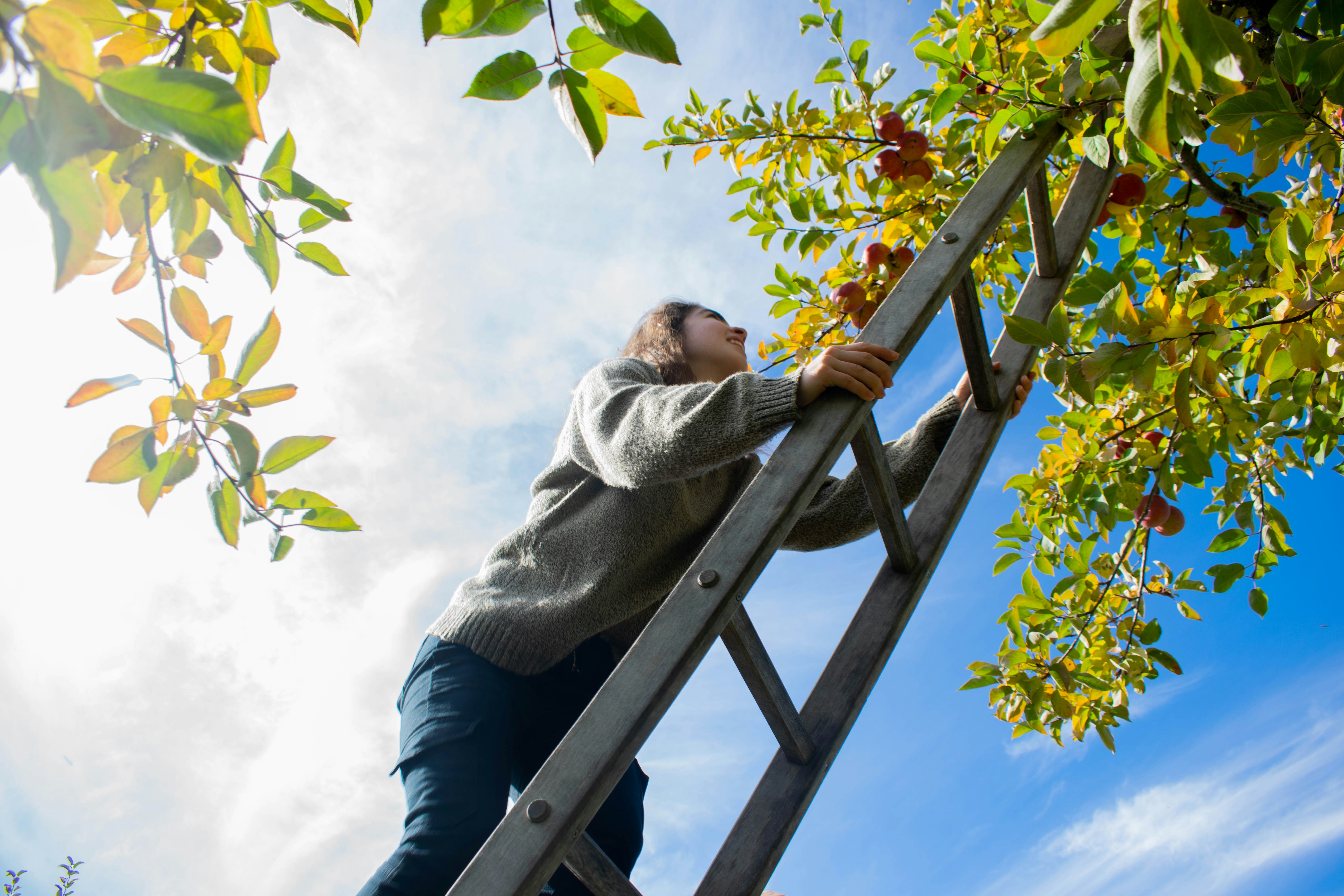 Photo by alexlowenthal