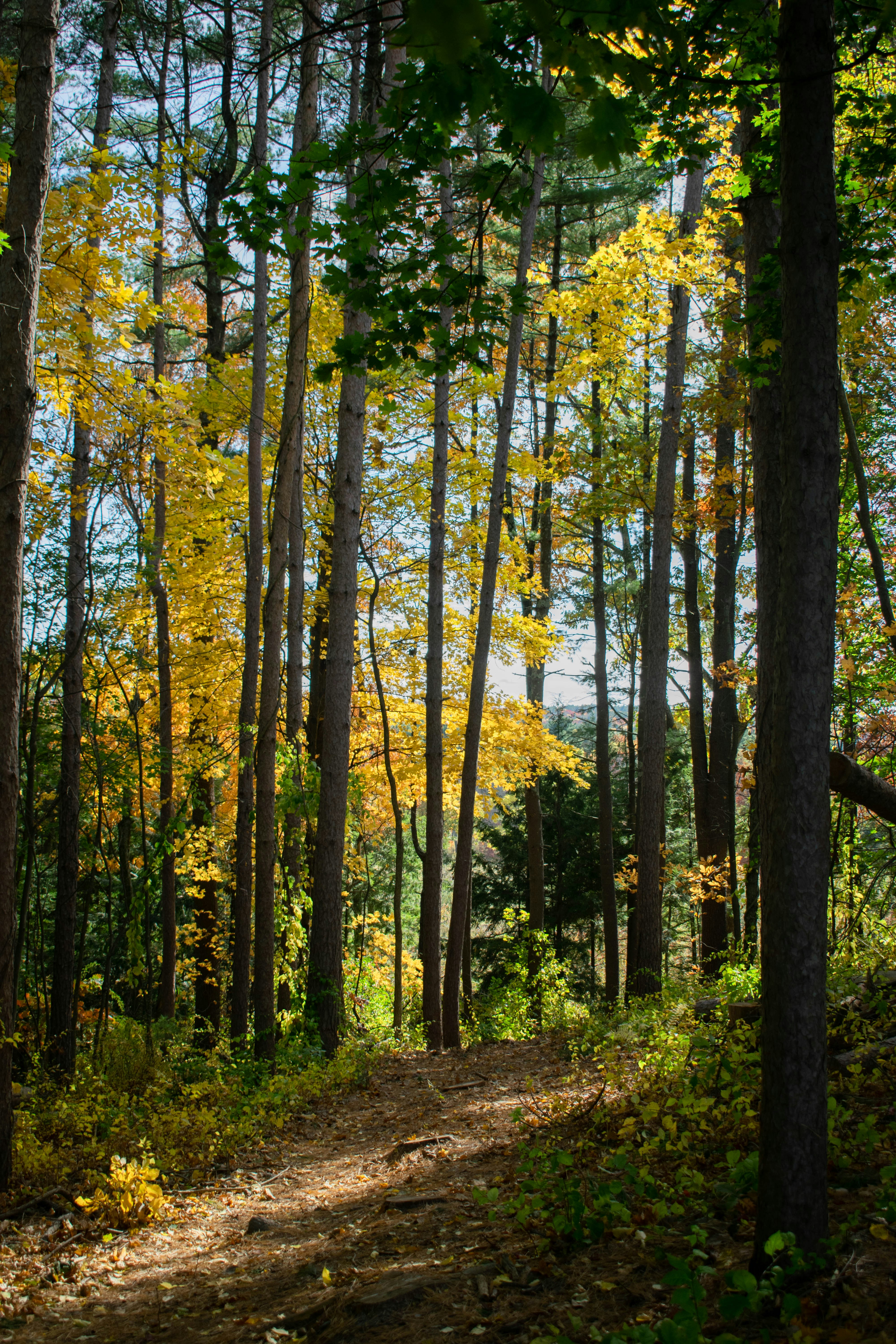 Photo by alexlowenthal