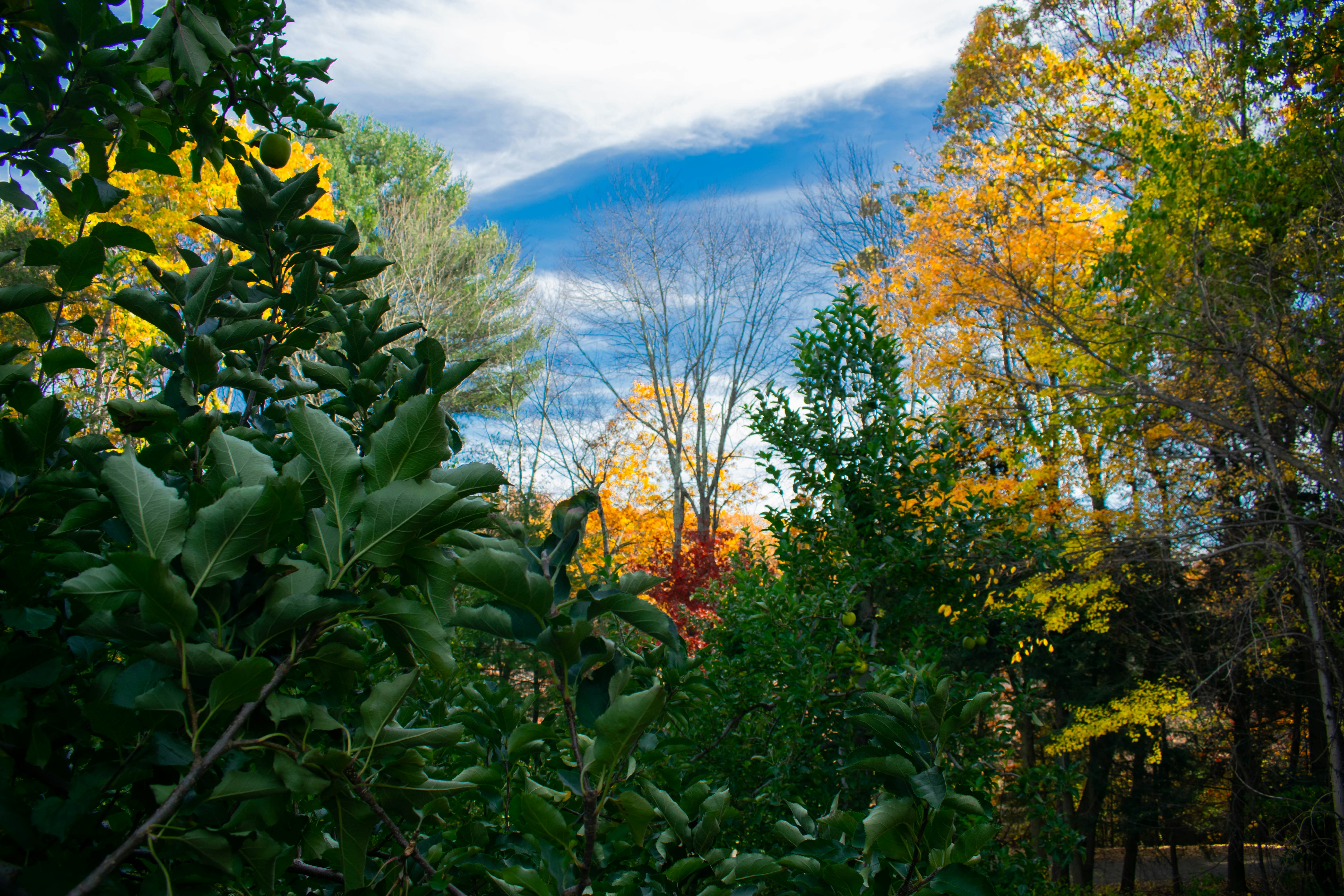 Photo by alexlowenthal