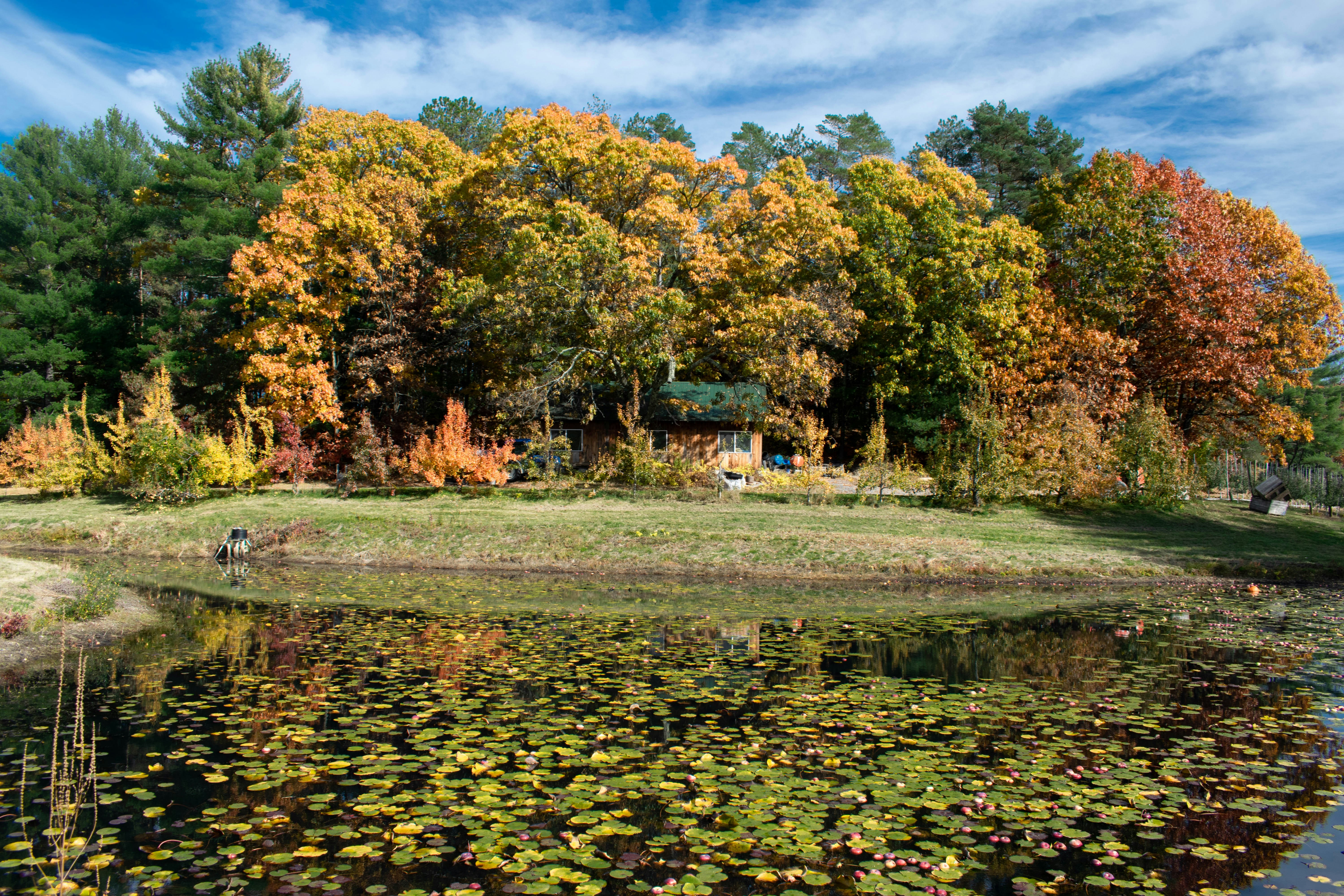 Photo by alexlowenthal