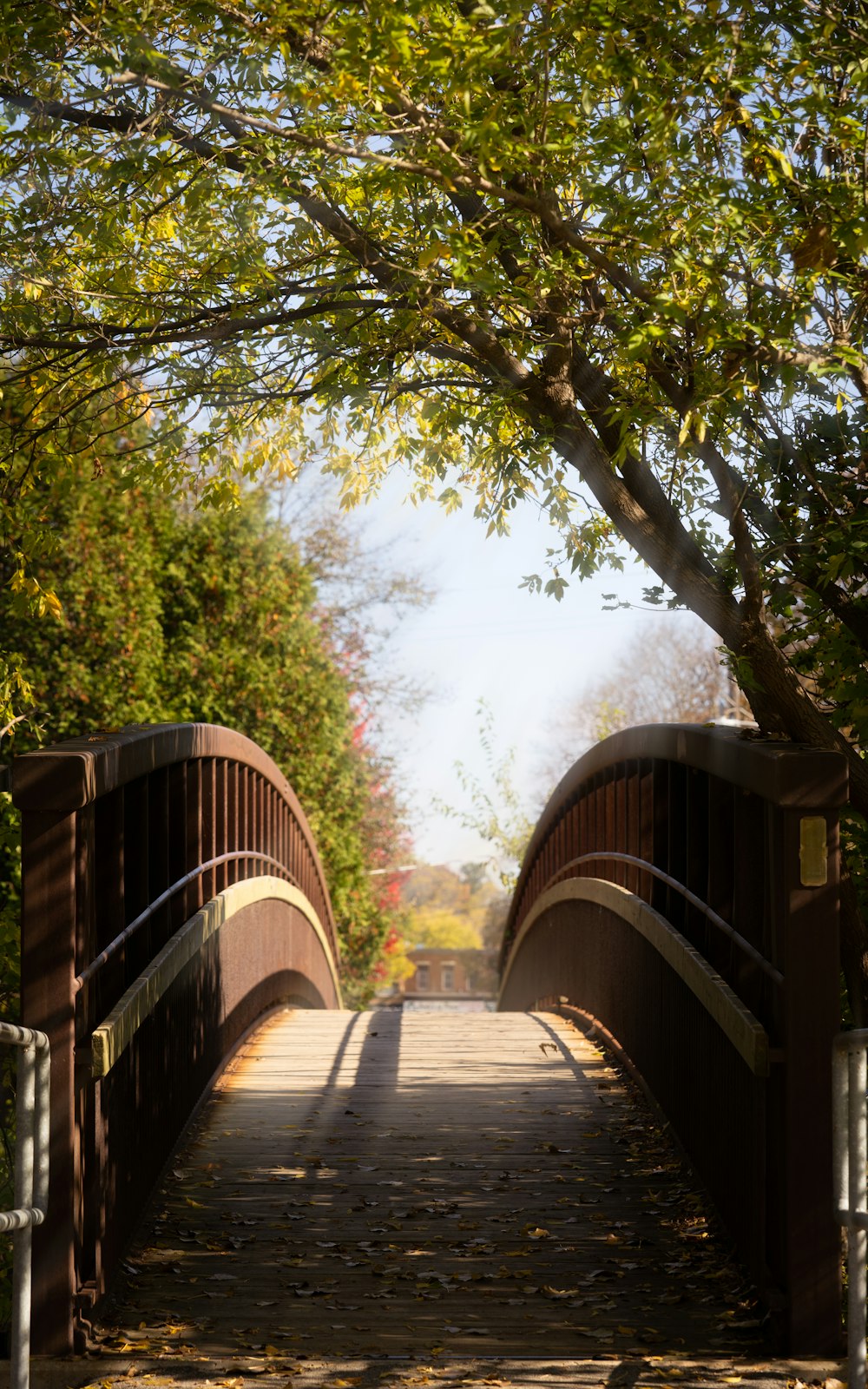 緑の木々の下の茶色の木製の橋