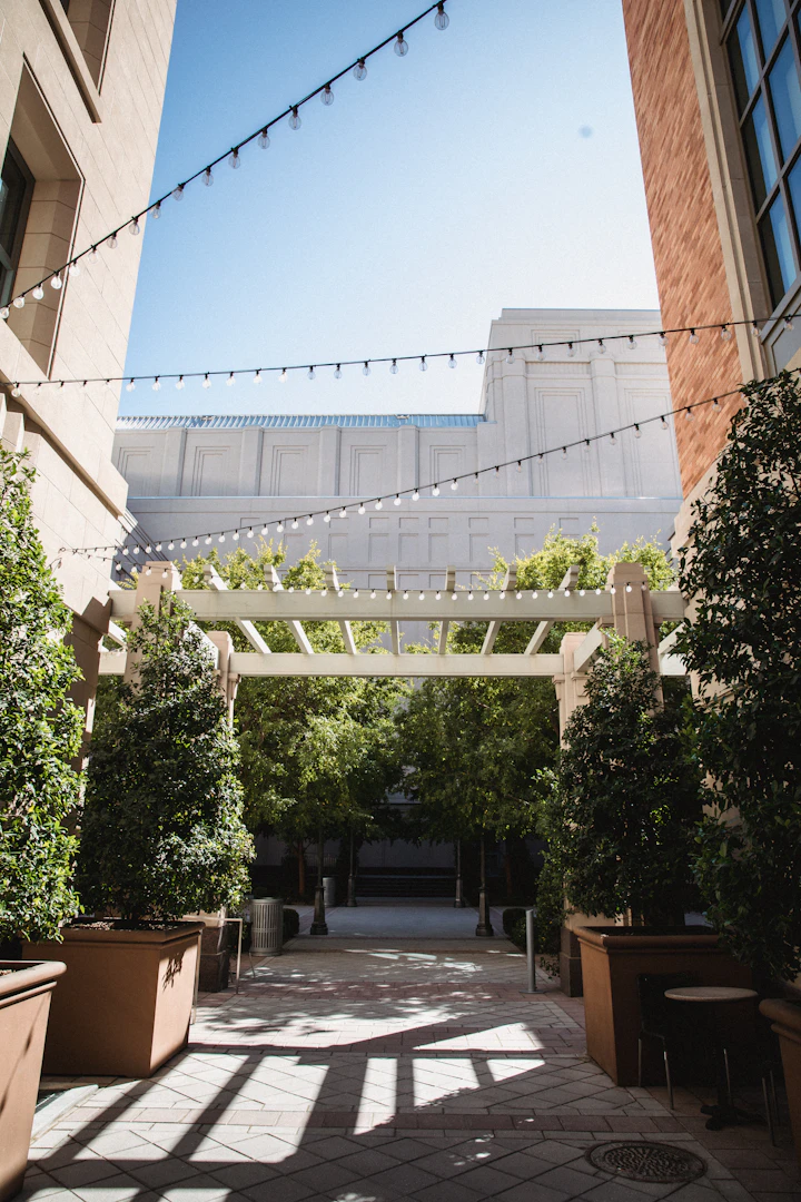 Contemporary outdoor courtyard and patio space