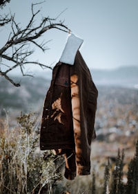 A vibrant waterproof jacket hanging on a tree branch with mountain peaks in the background.