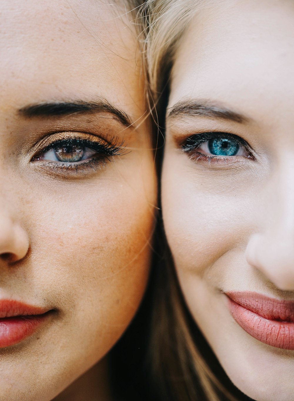 shallow focus photo of two women