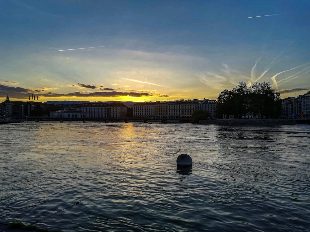 brown body of water