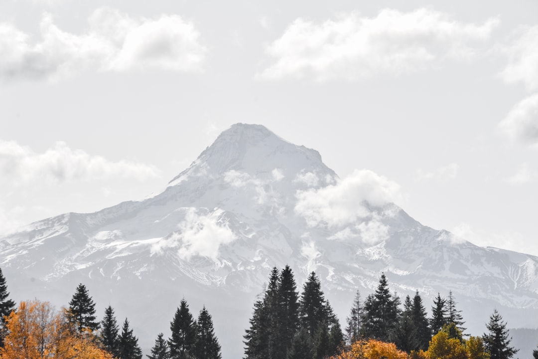 wide angle photo of mountain