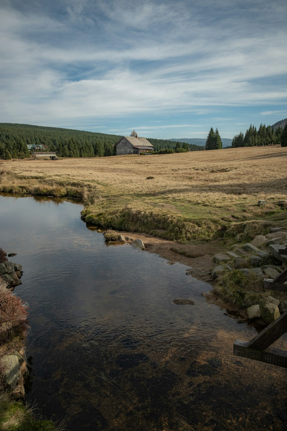 cabin near green trees under cloudy sky