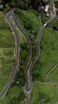 aerial photography of winding road