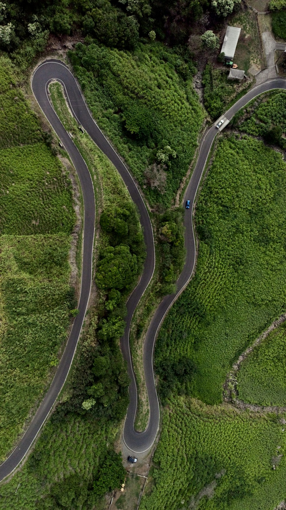 aerial photography of winding road