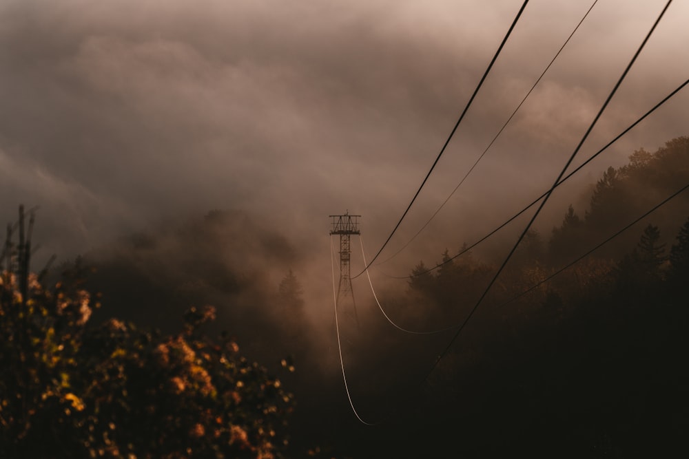 cables attached to a tower