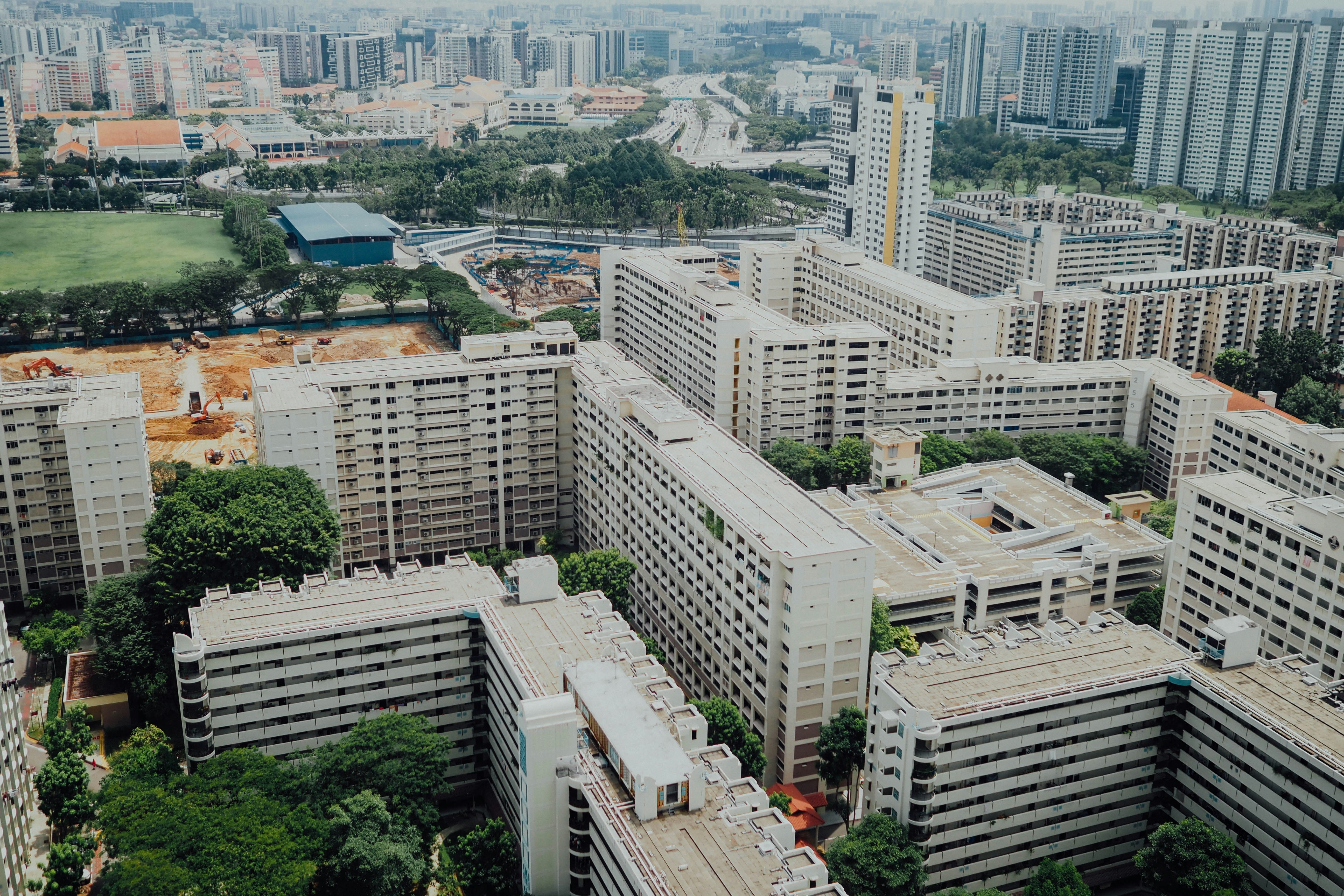 Photo by chuttersnap