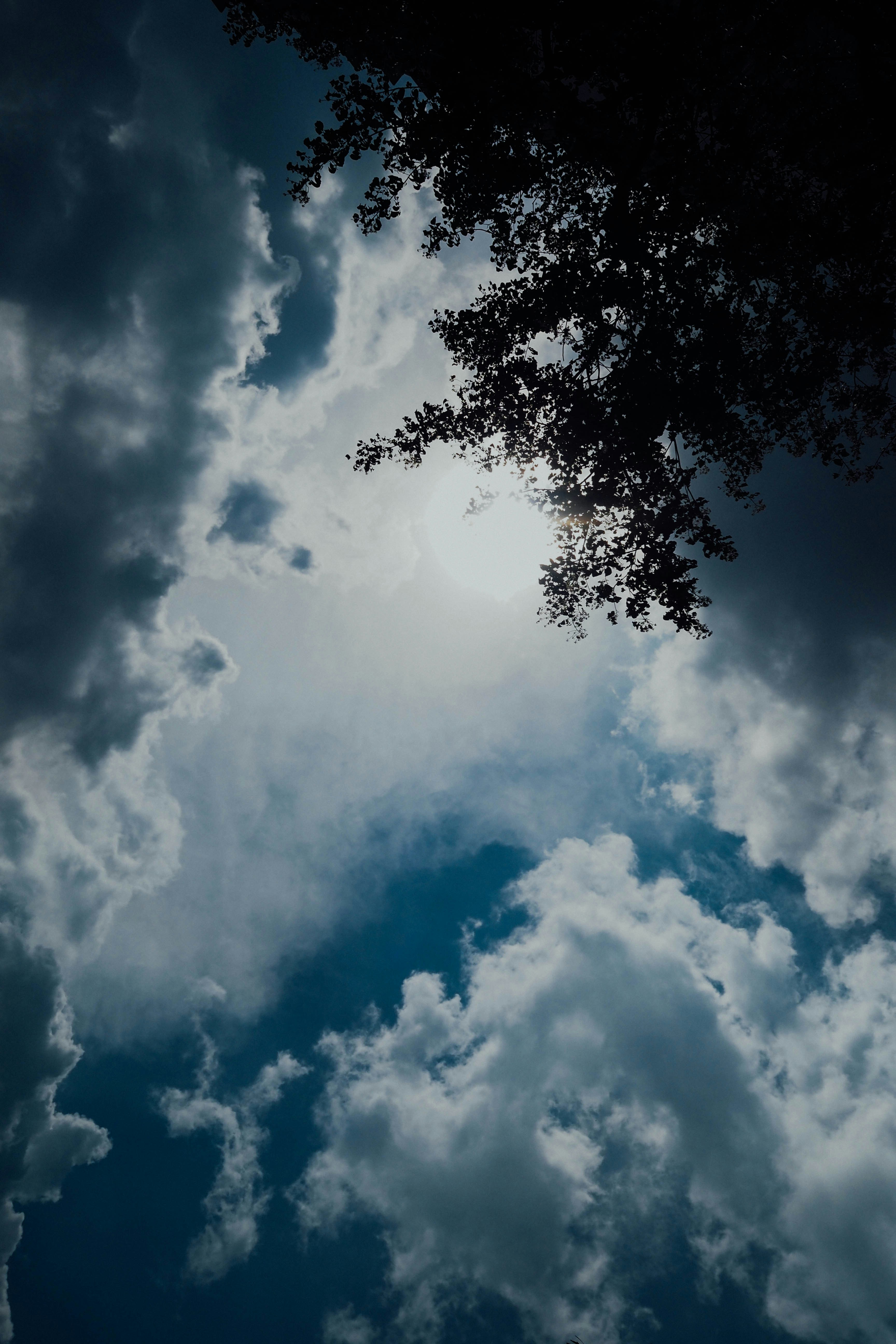 Photo by chuttersnap