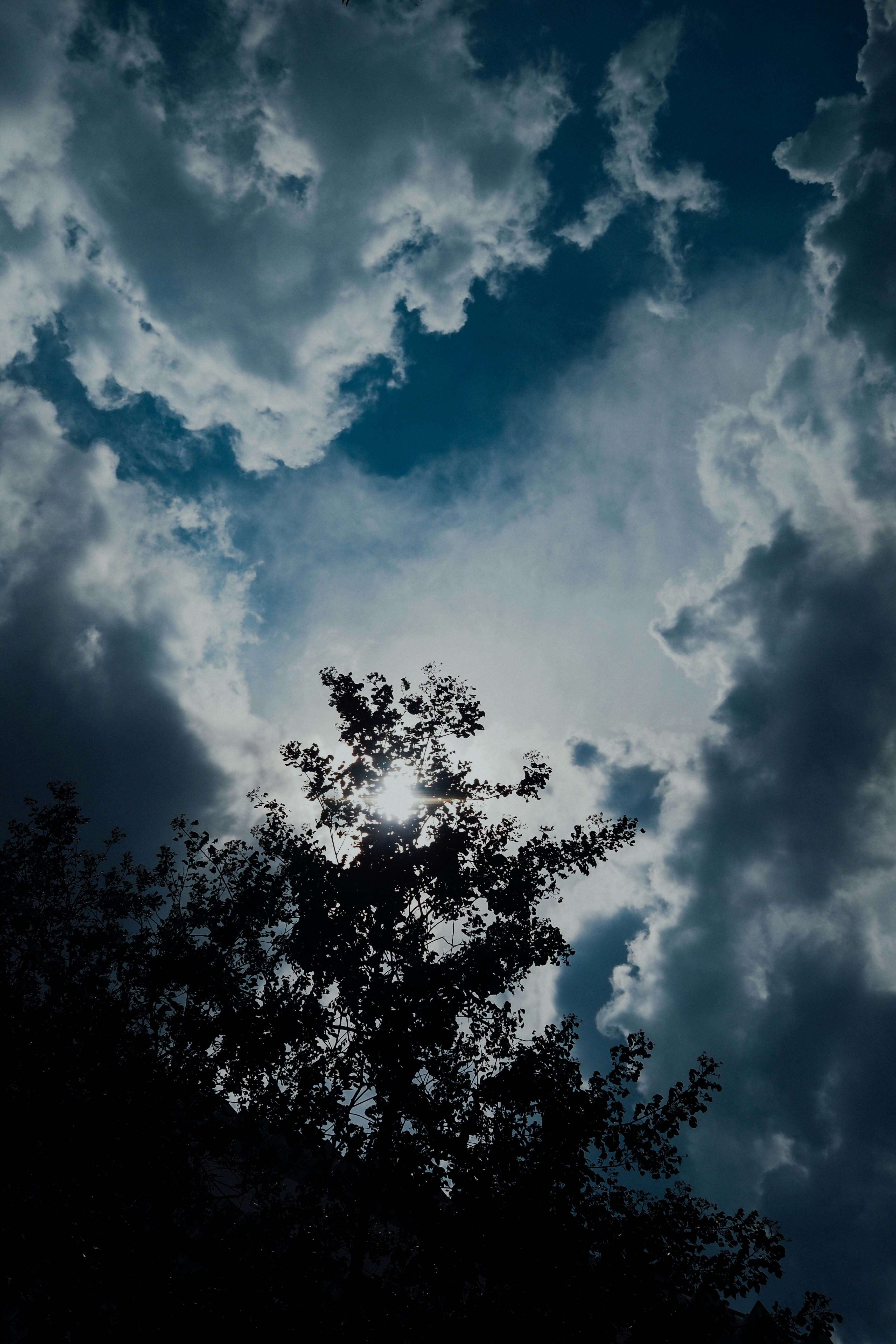 Photo by chuttersnap