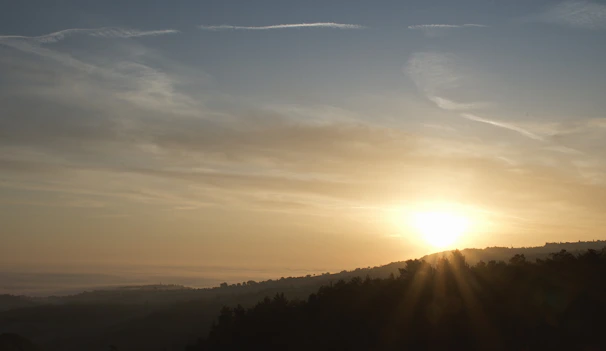 A sunrise casting warm golden light over a calm landscape symbolizing new opportunities.