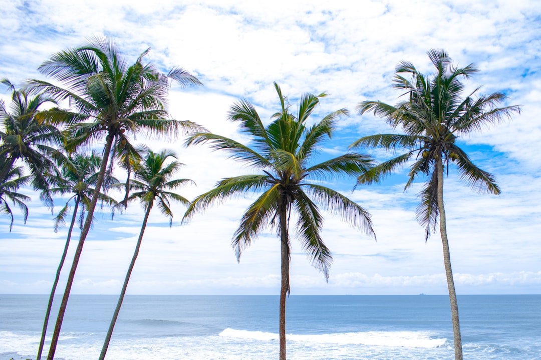 travelers stories about Tropics in Mirissa Beach, Sri Lanka