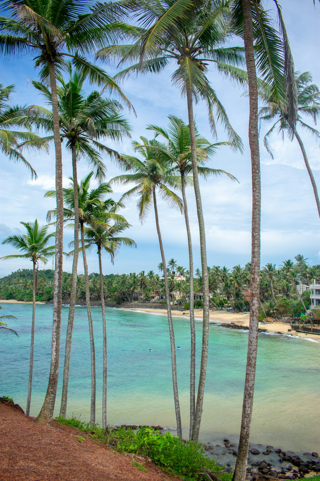 Tropics photo spot Mirissa Beach Bentota