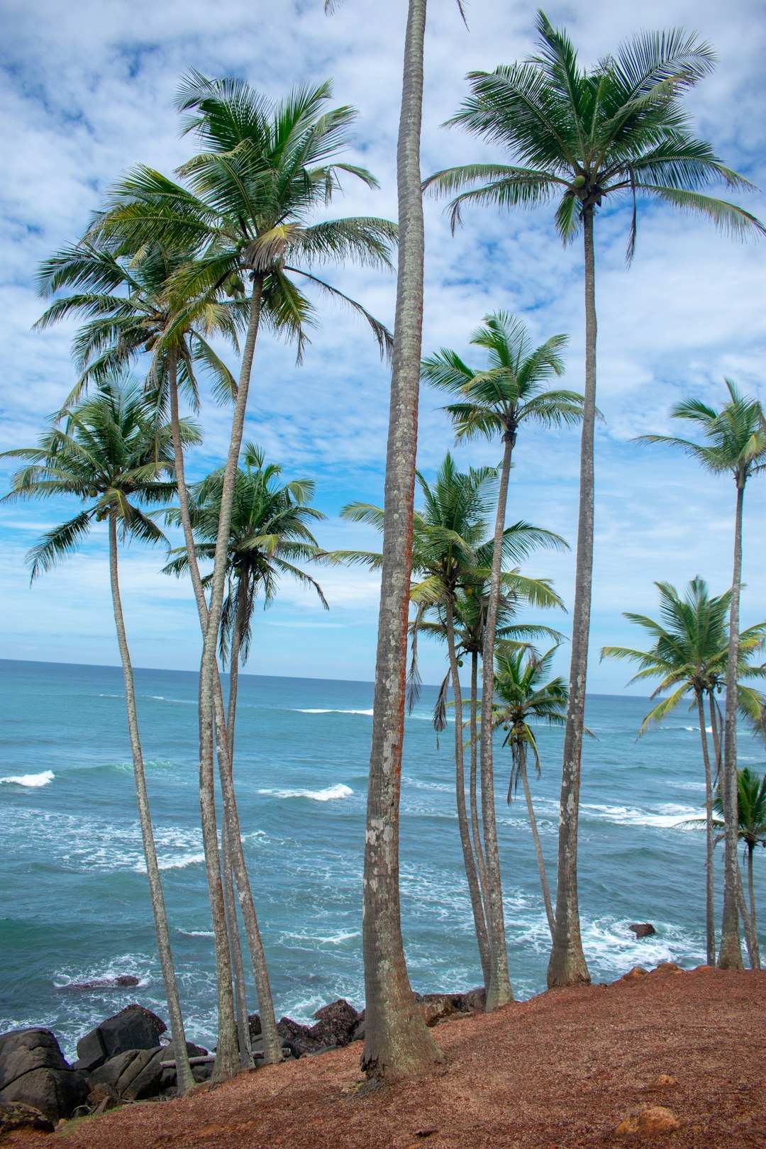 Tropics photo spot Mirissa Beach Bentota