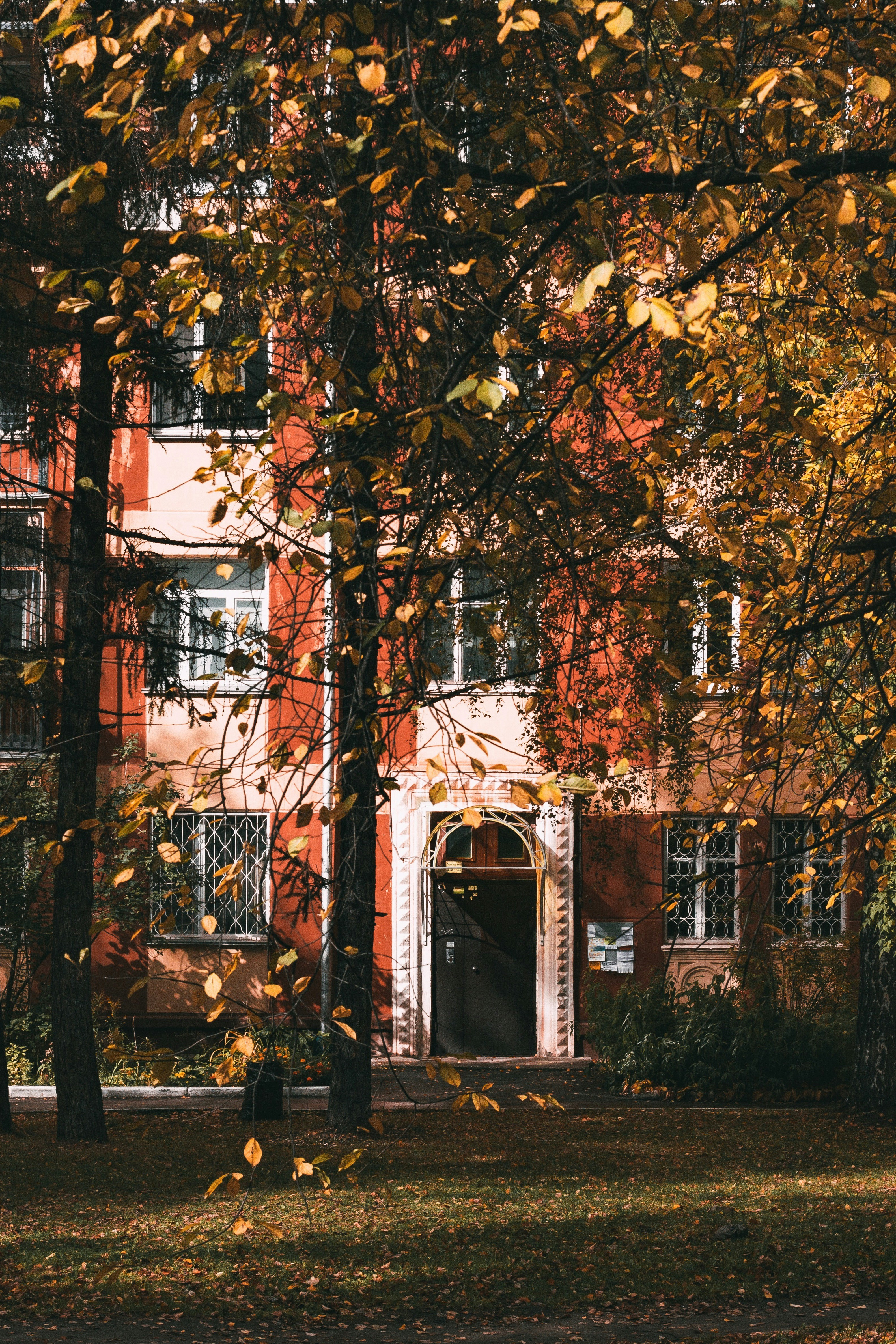 Photo by rolig_basseng