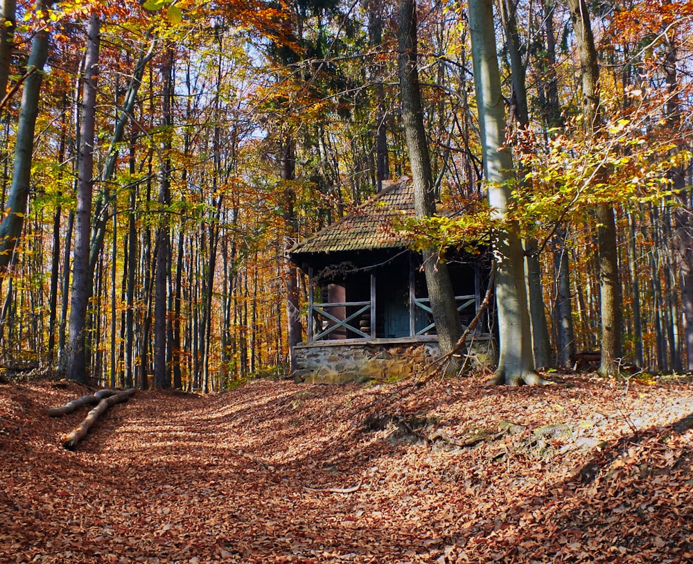 gray cottage surrounded trees