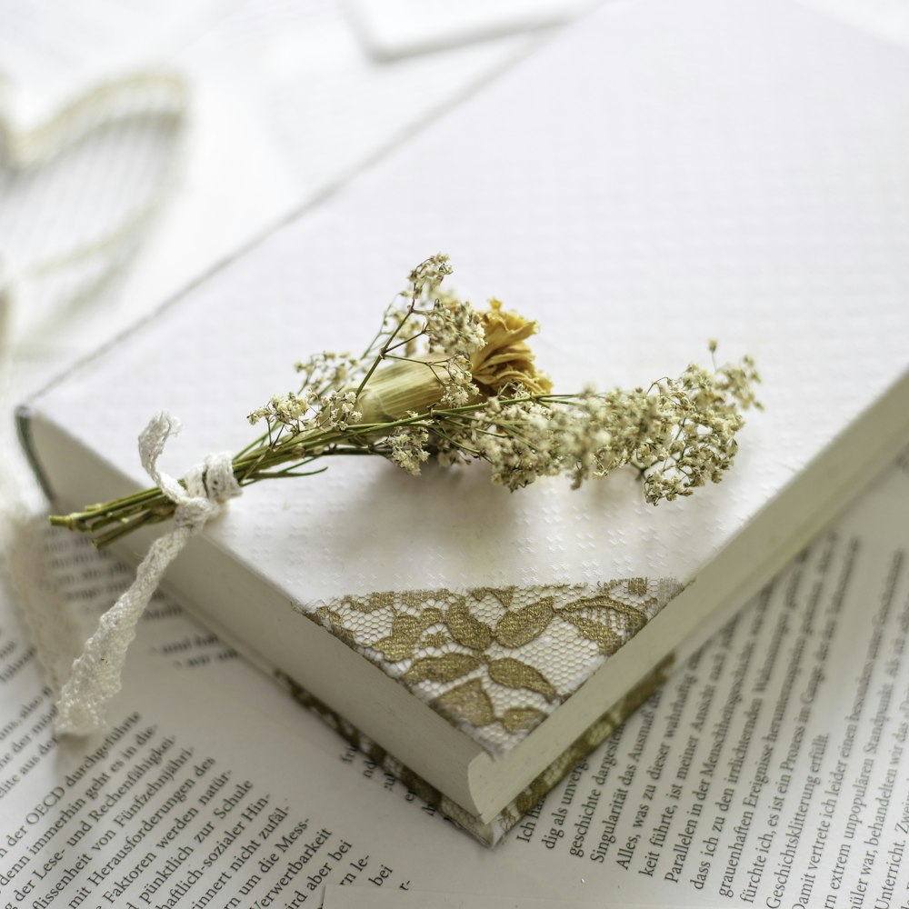white petaled flower on top of book