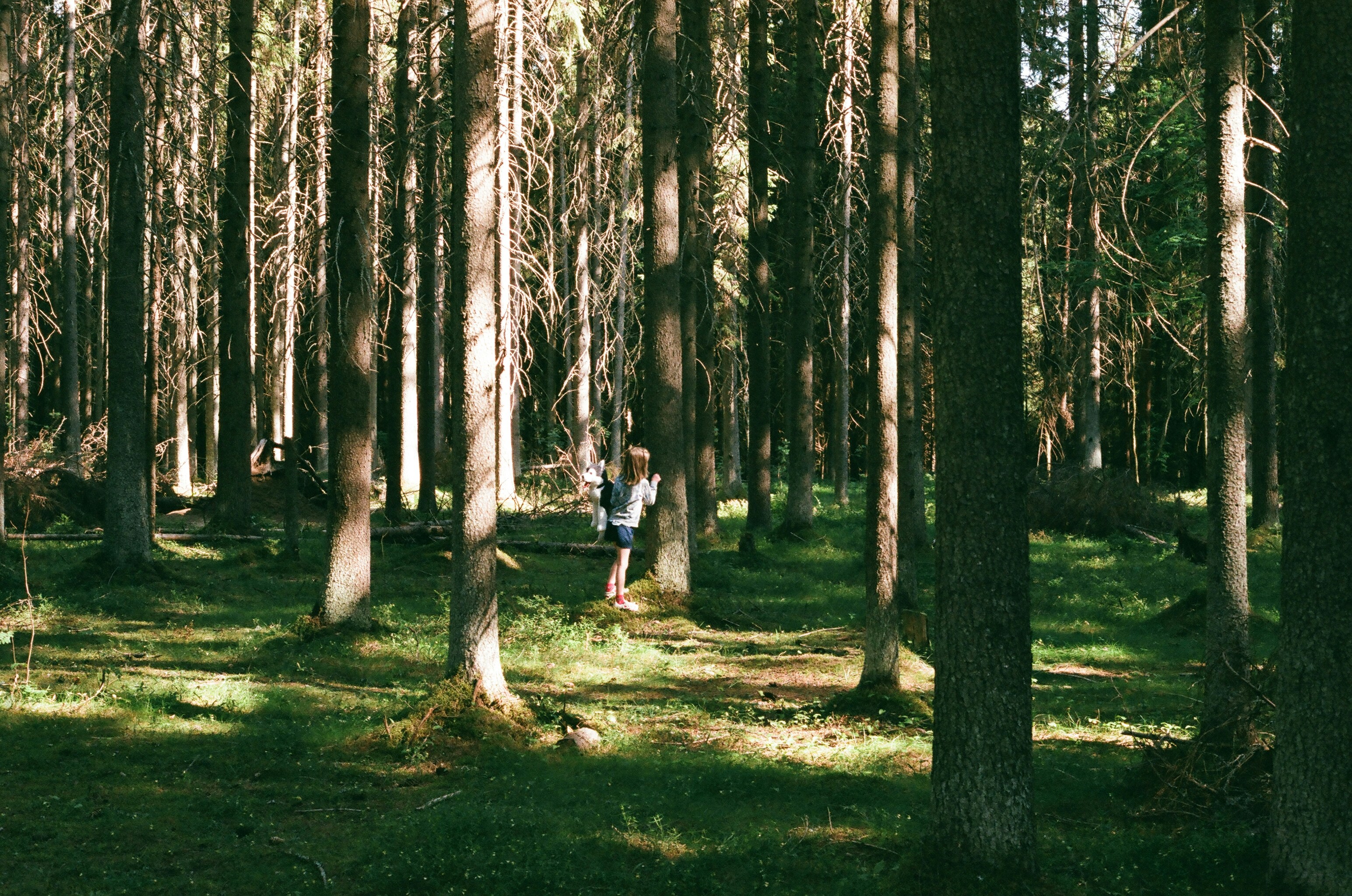 girl hiding in the forest