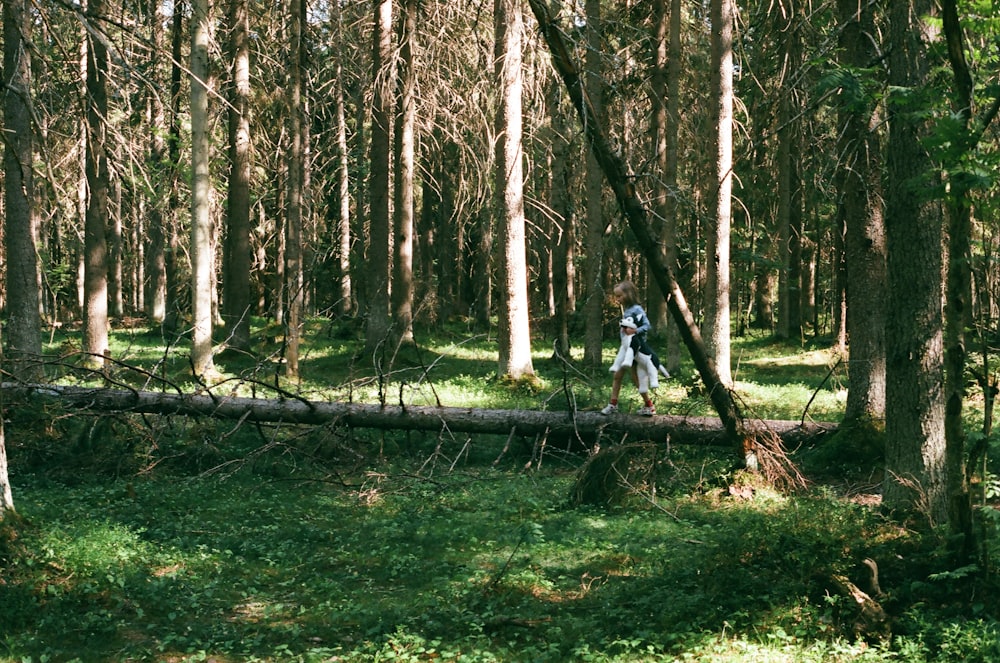menina que caminha em uma árvore caída na floresta