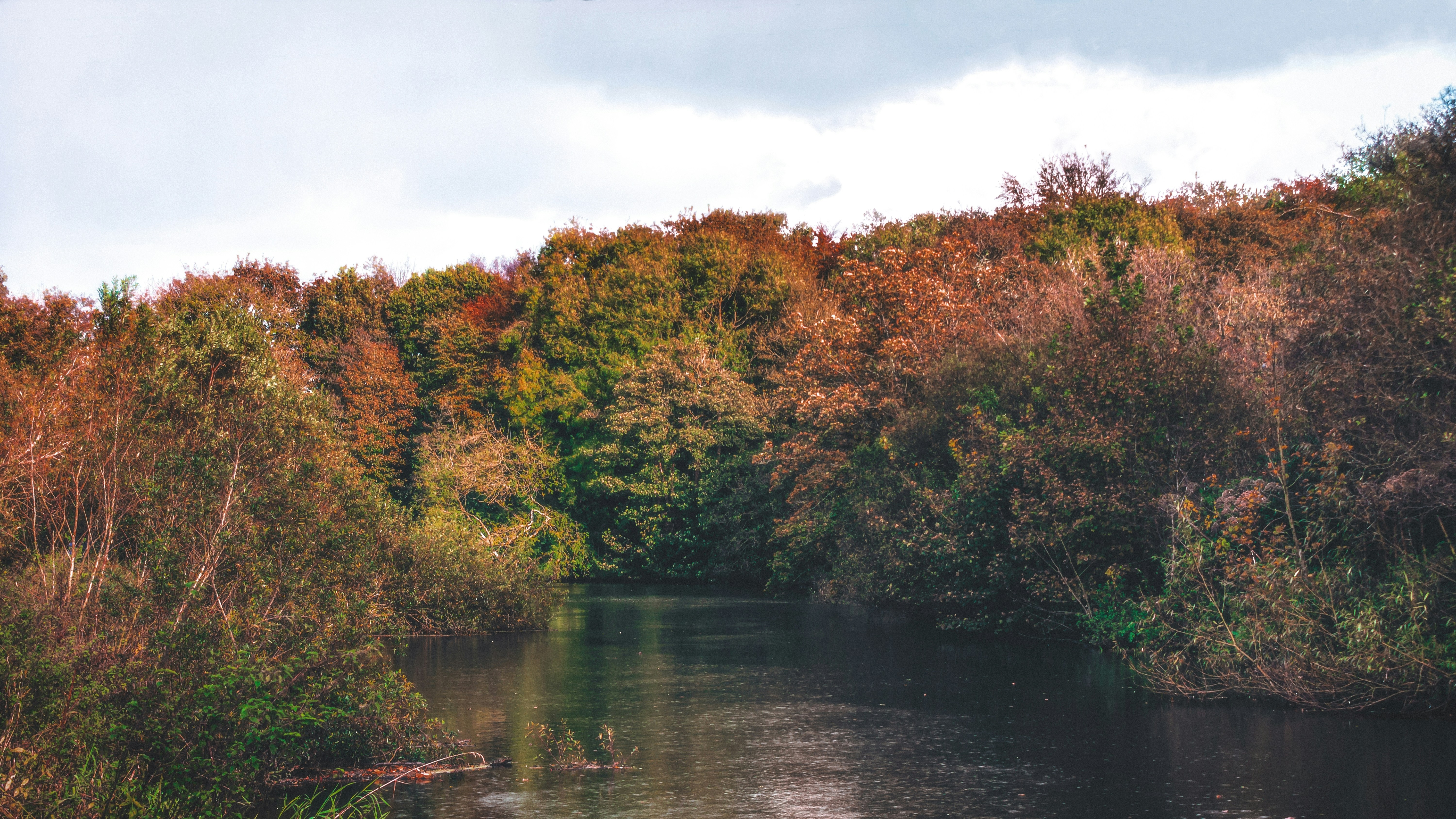 Photo by kmitchhodge