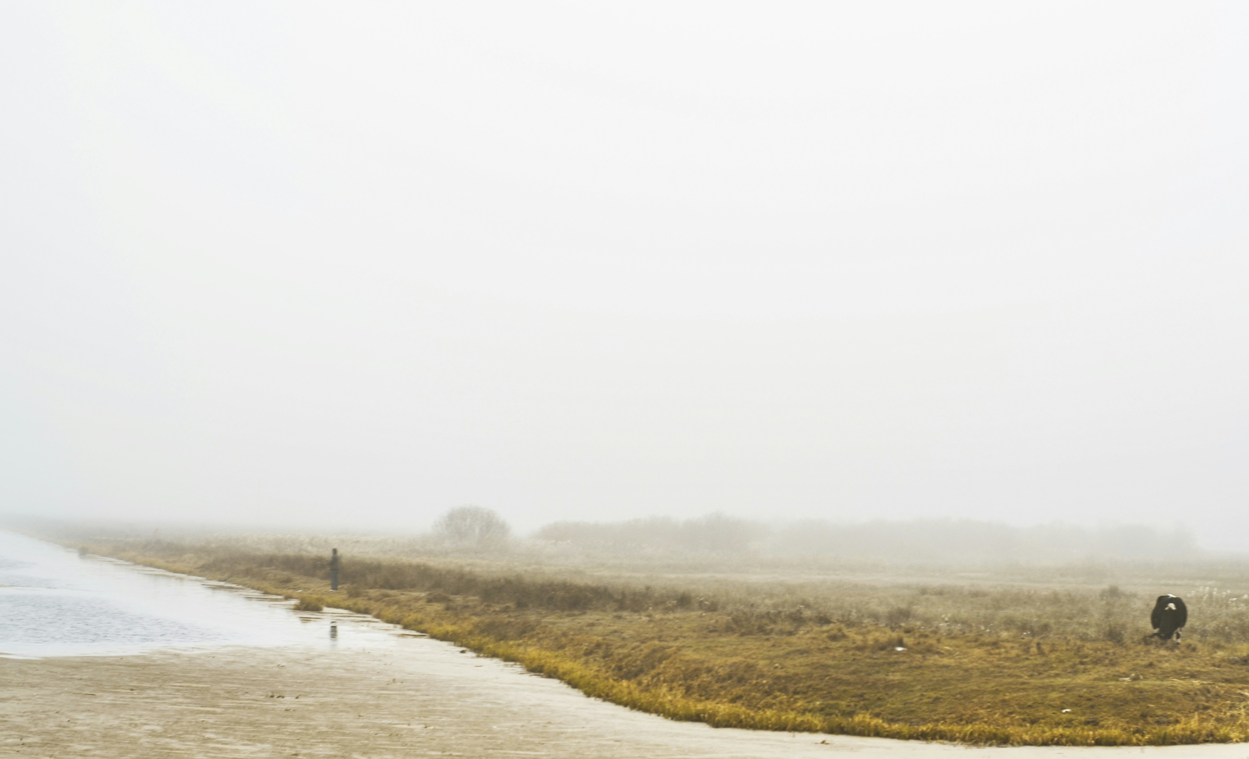 Photo by viktortalashuk