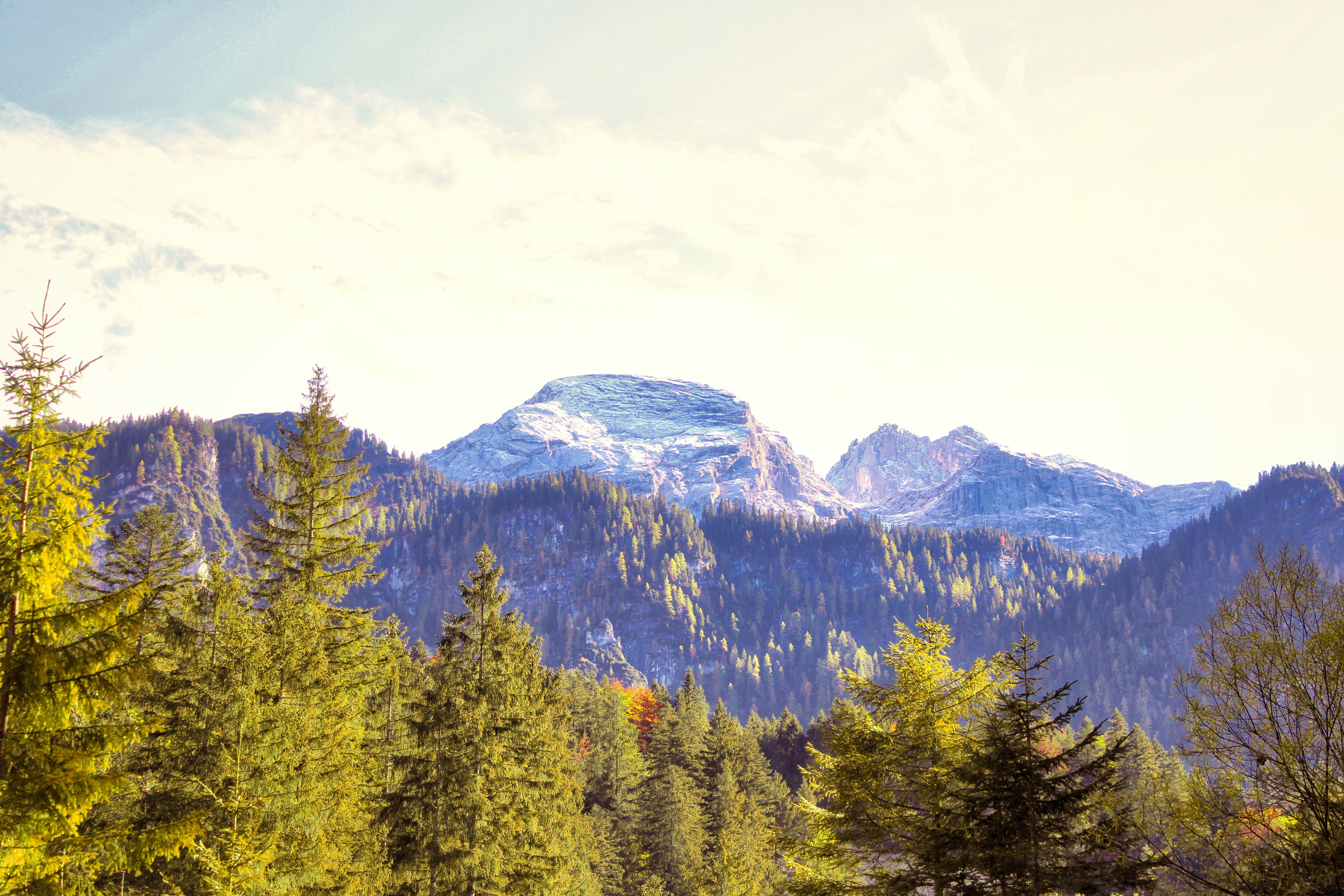 Photo by philipp8577399023