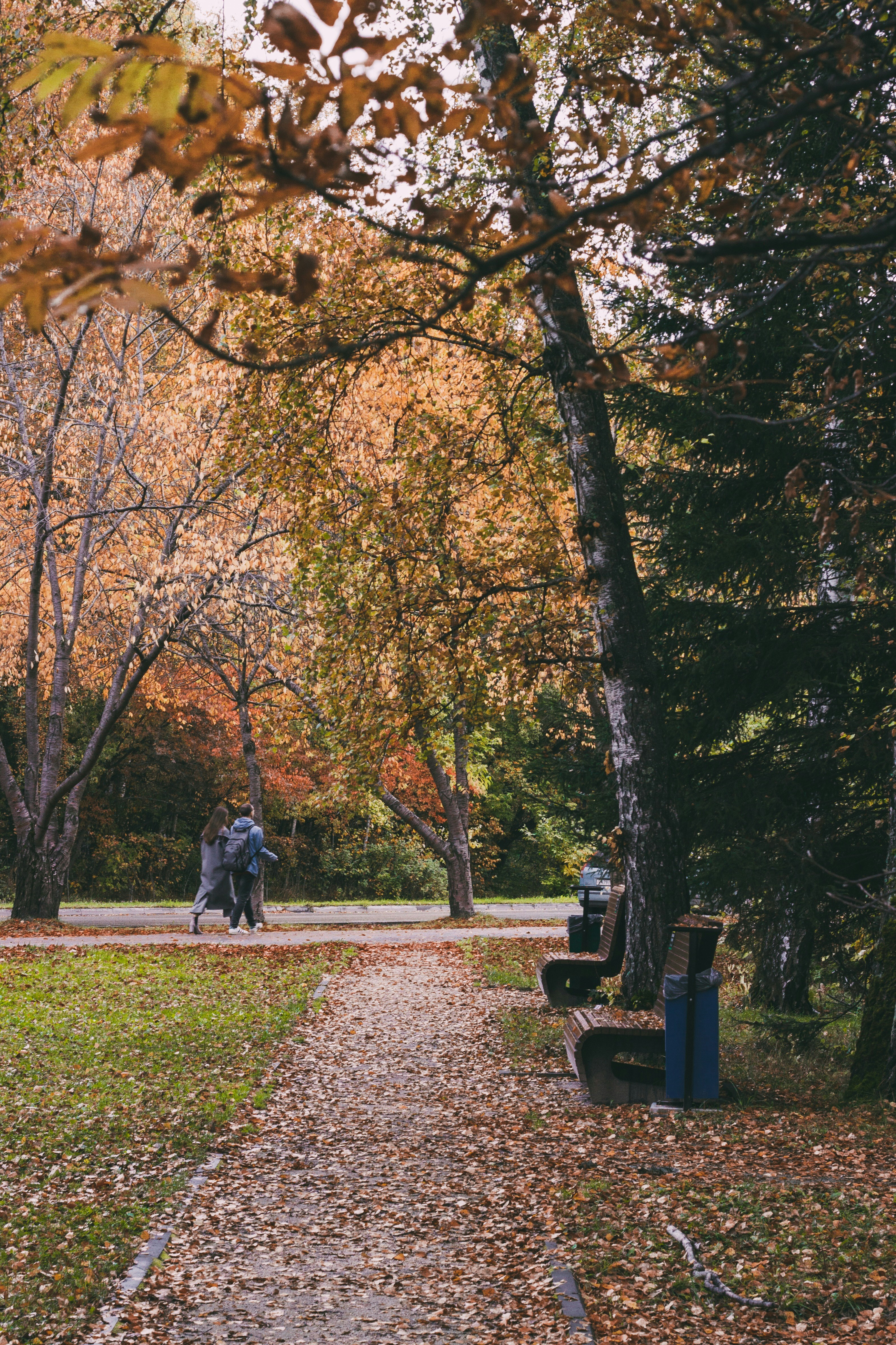 Photo by rolig_basseng