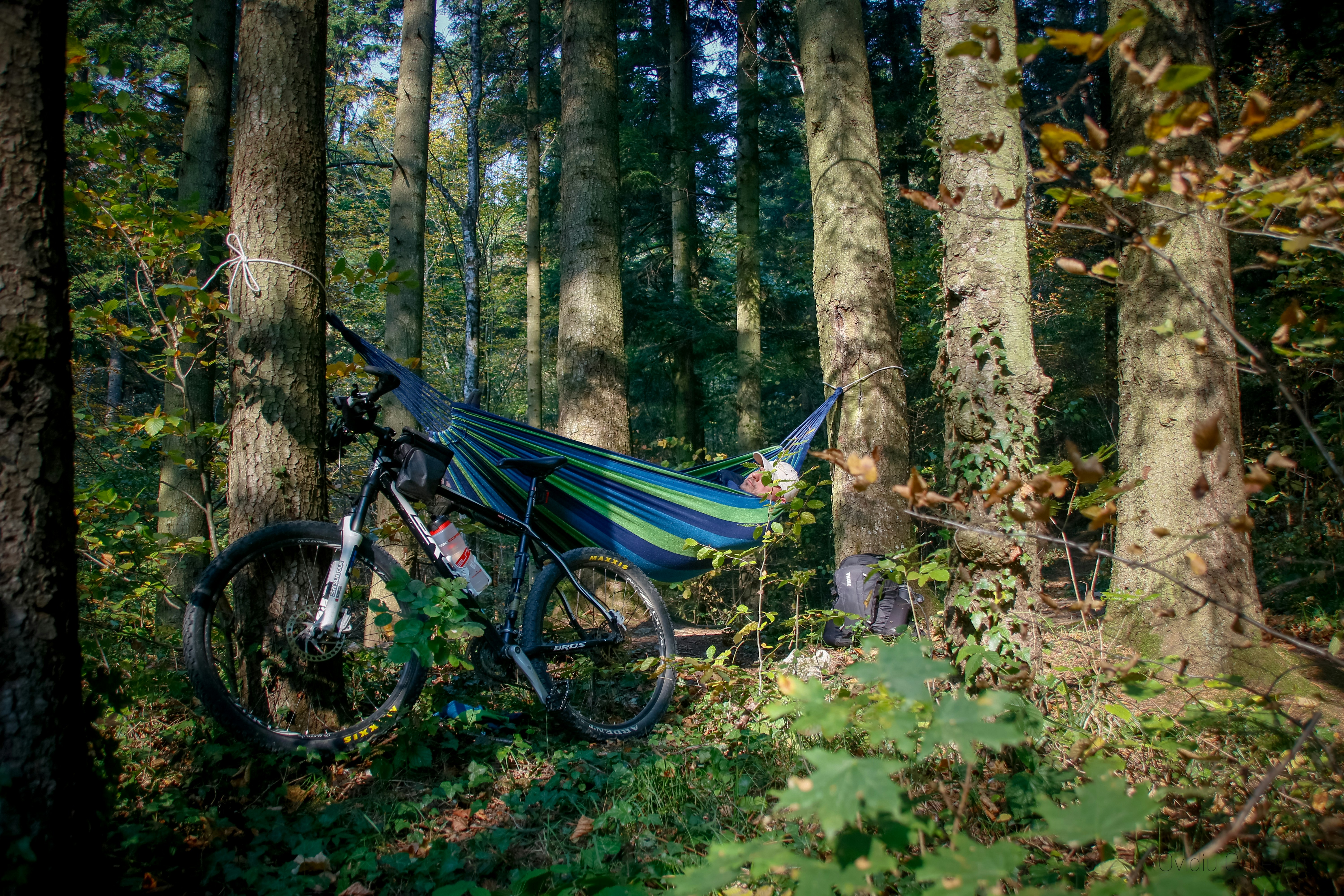 Photo by ovidiugruescu