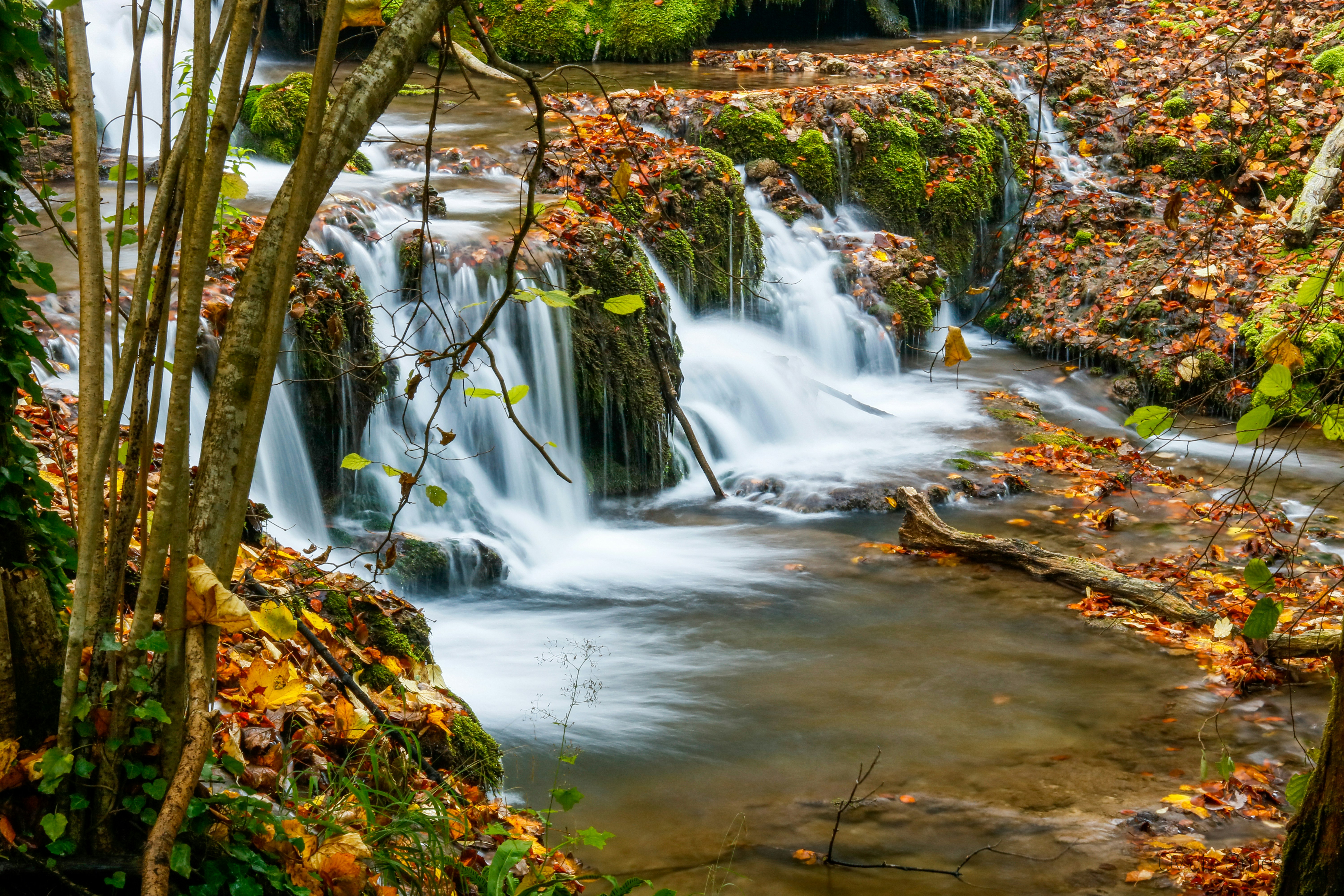 Photo by ovidiugruescu