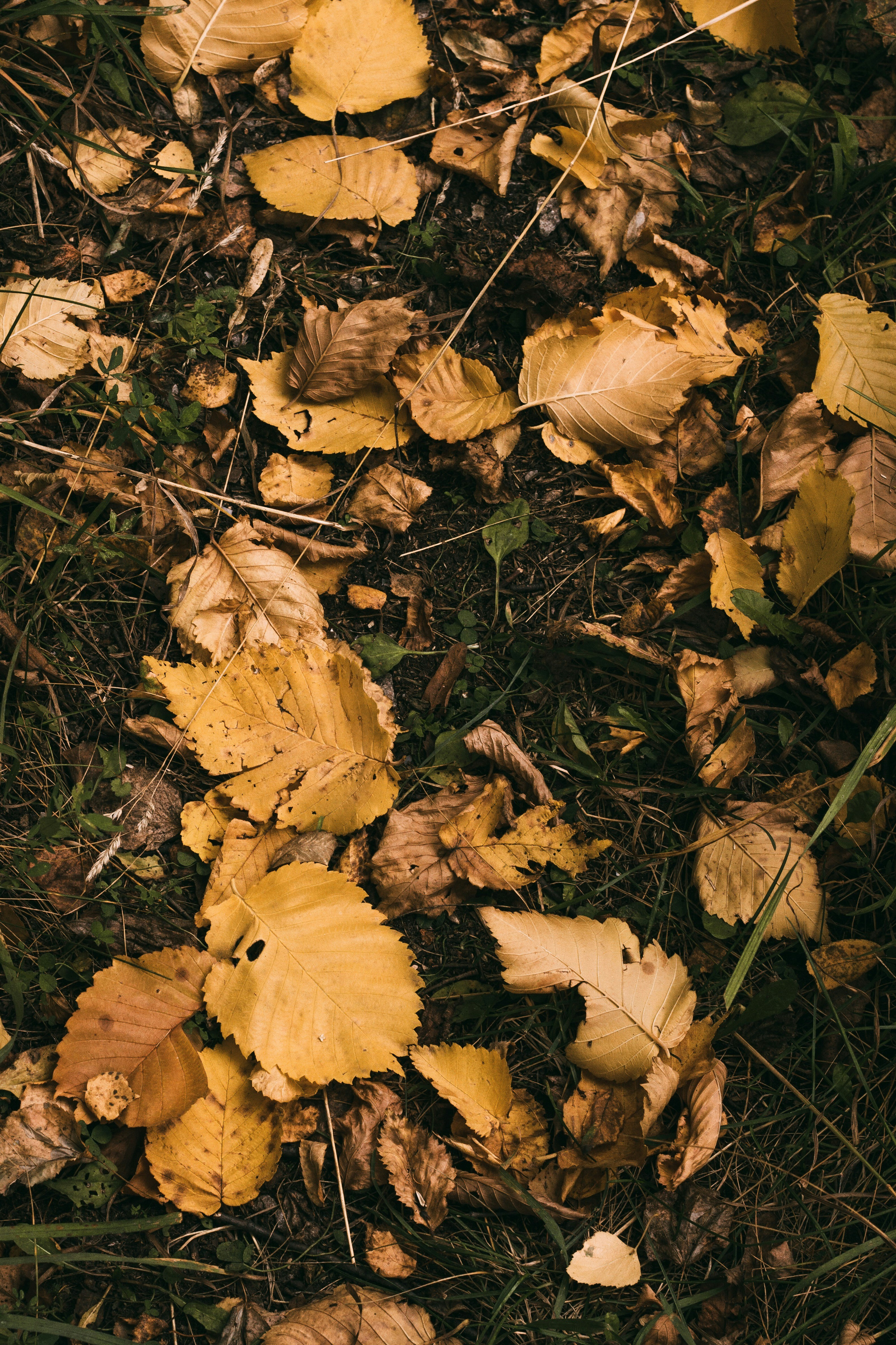 Photo by rolig_basseng