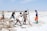 Several people stand and work on a salt flat, using tools to break and collect salt blocks. The landscape is dry and expansive, with a bright, clear sky overhead. The individuals wear casual clothing and appear to be focused on their tasks.