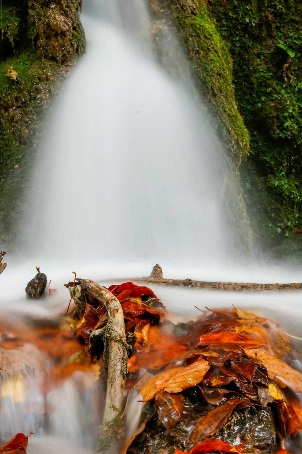 waterfall and dried leaves in water