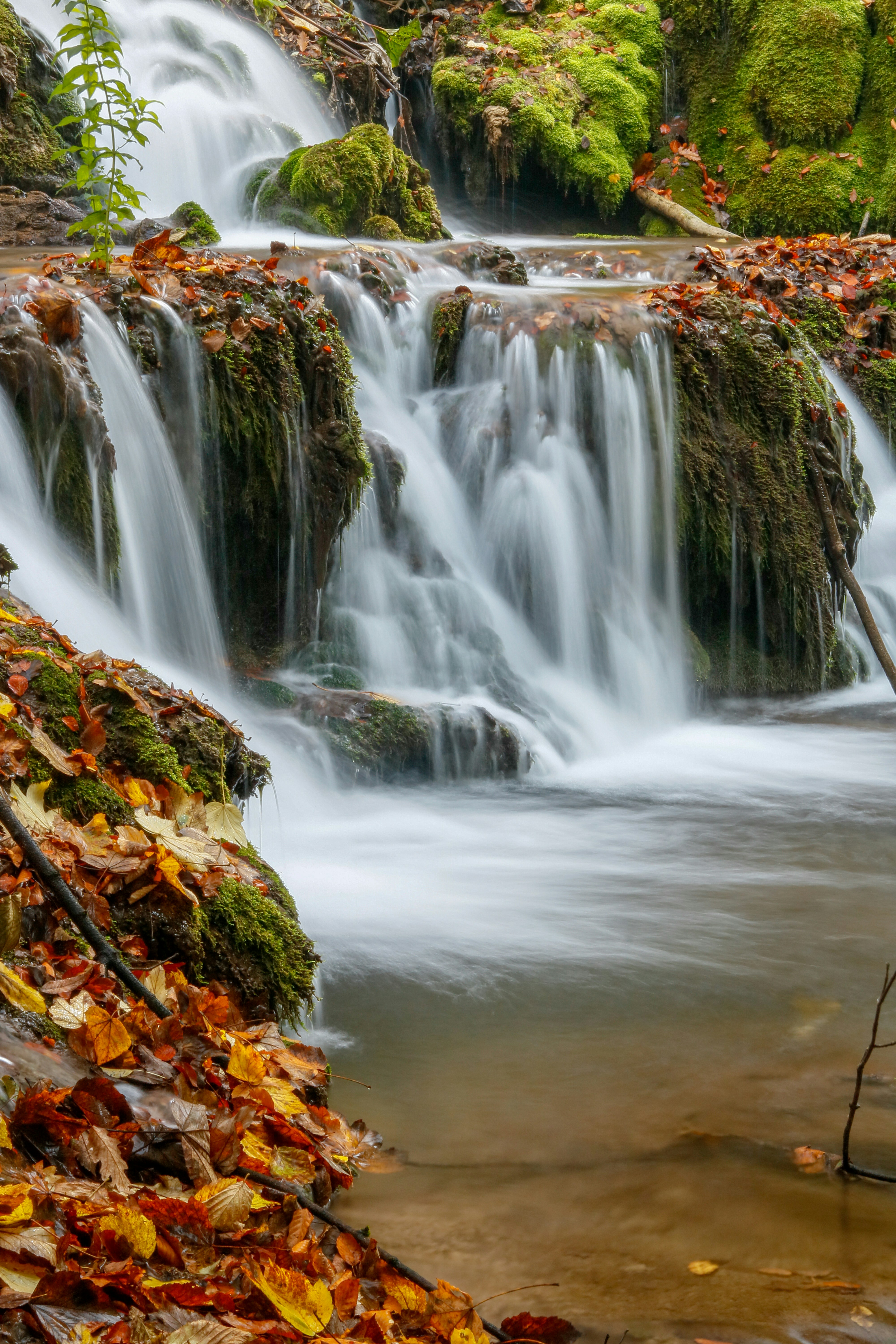 Photo by ovidiugruescu