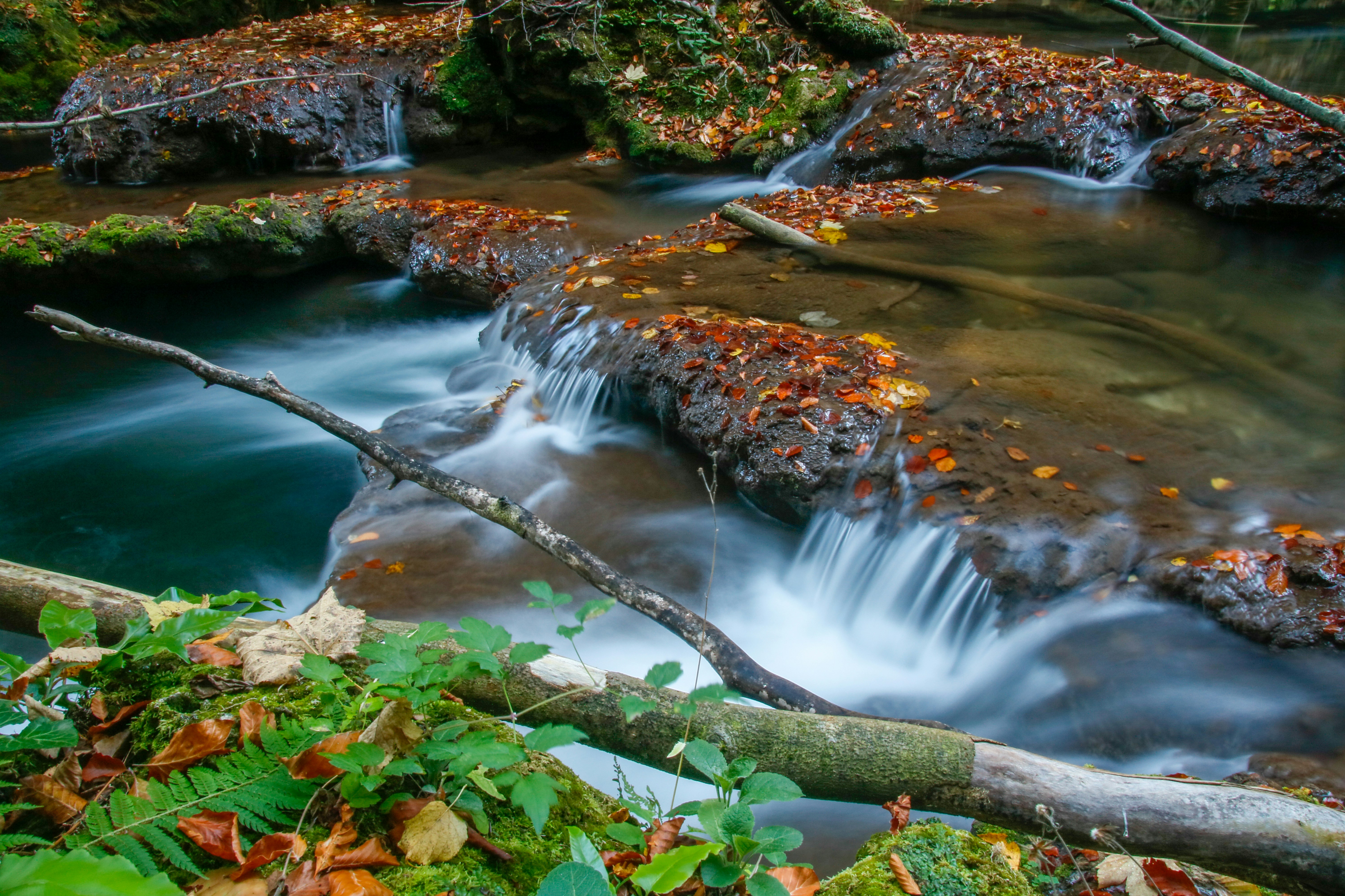 Photo by ovidiugruescu