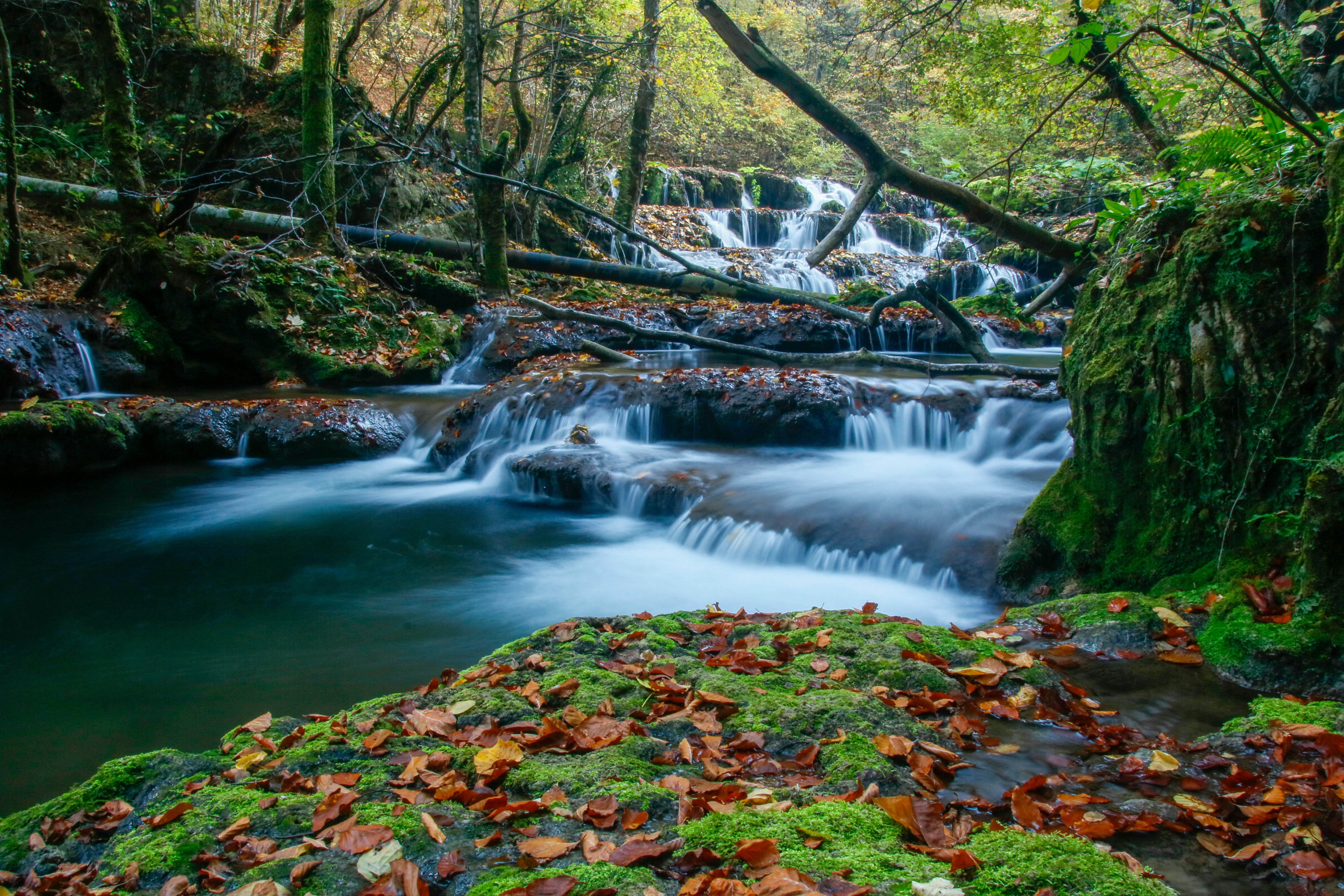 Photo by ovidiugruescu