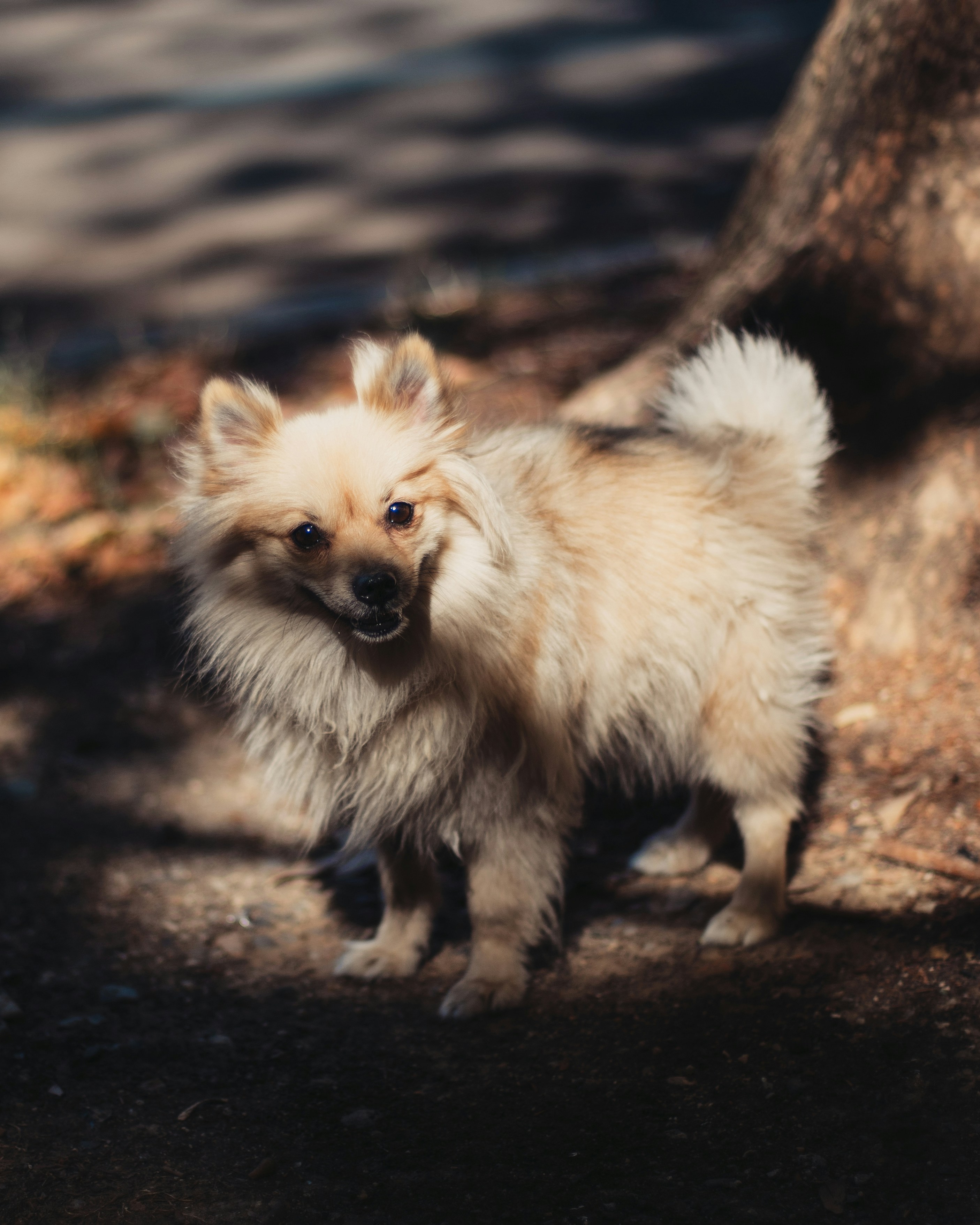 Photo by jeff_tumale