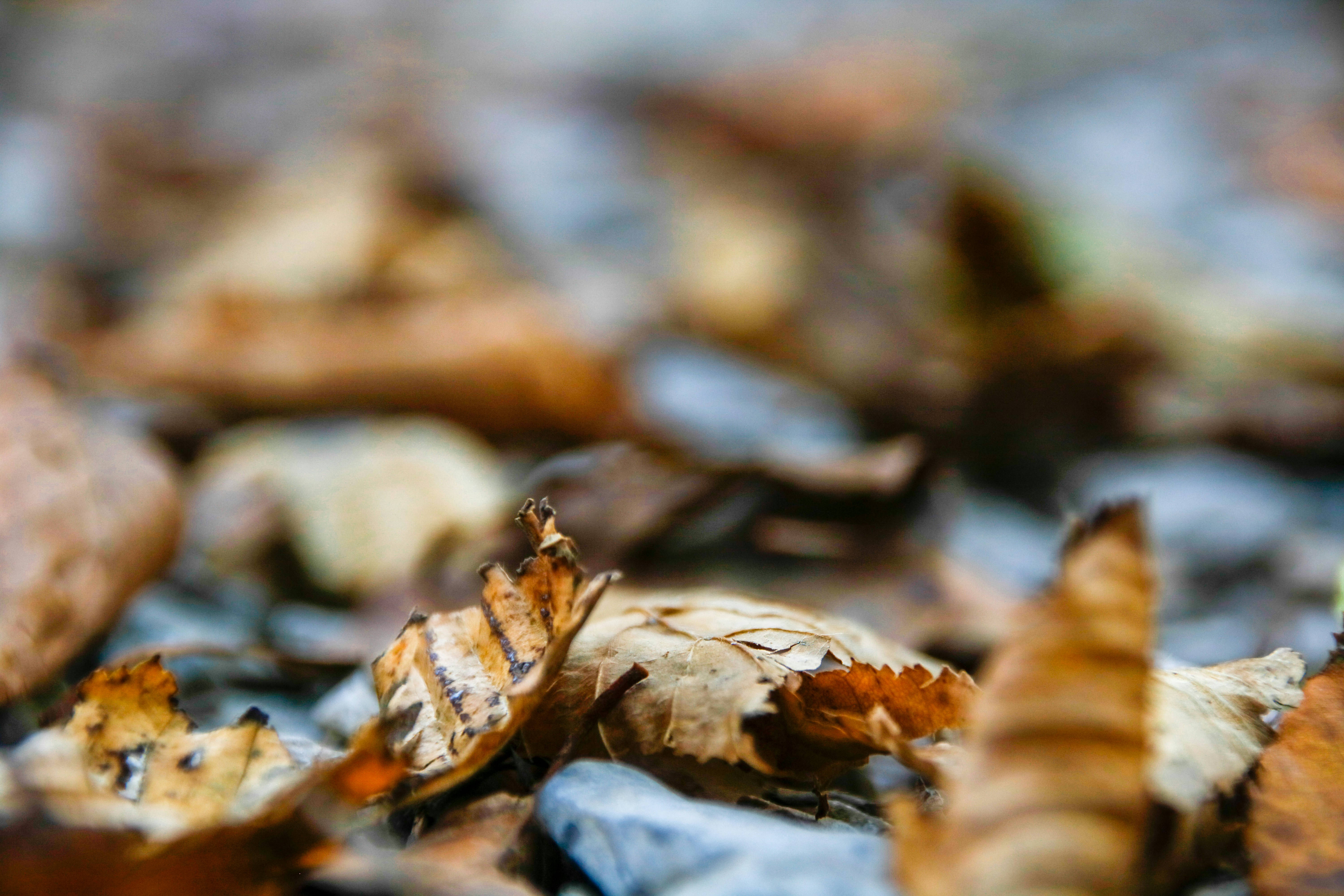 Photo by ovidiugruescu