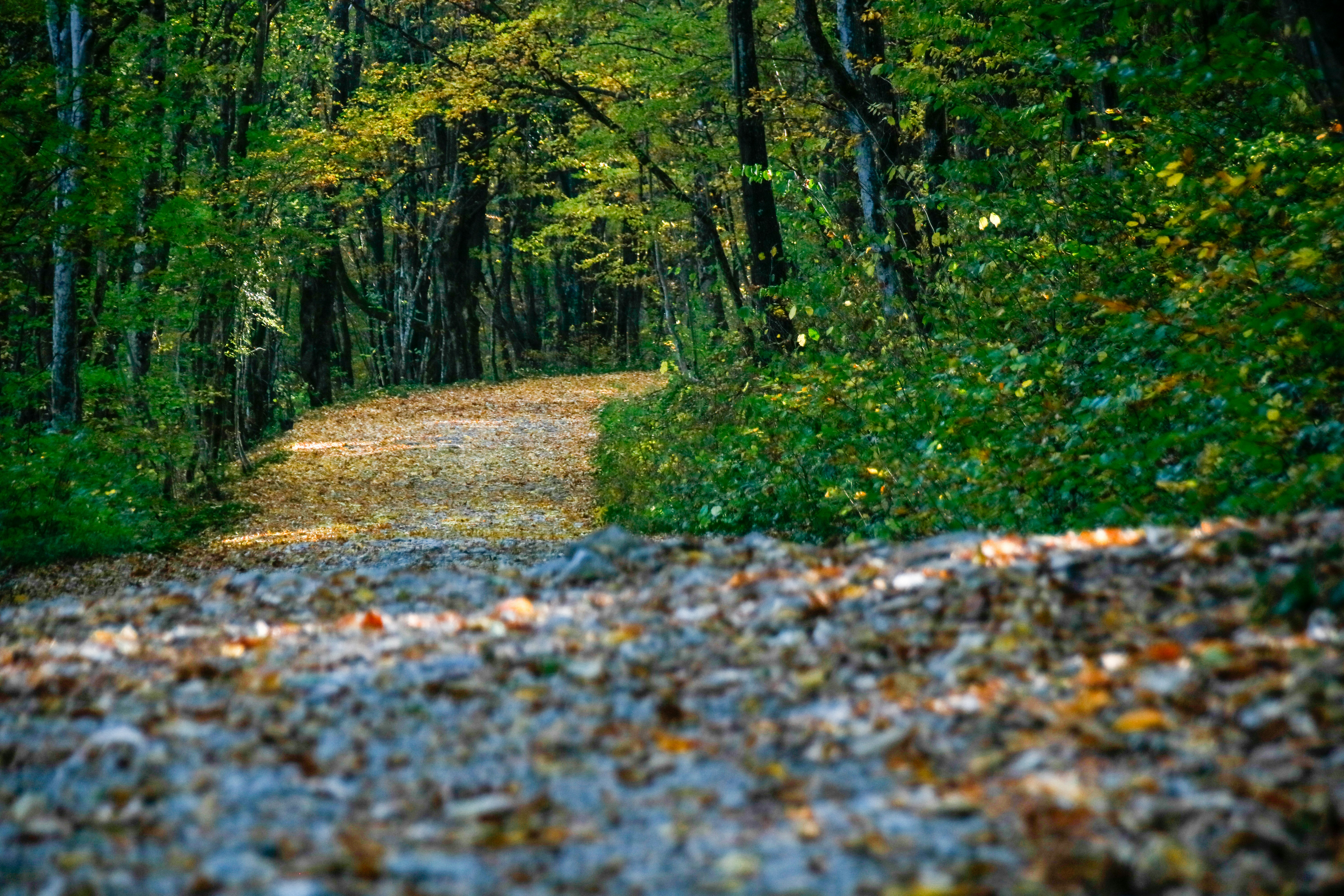 Photo by ovidiugruescu