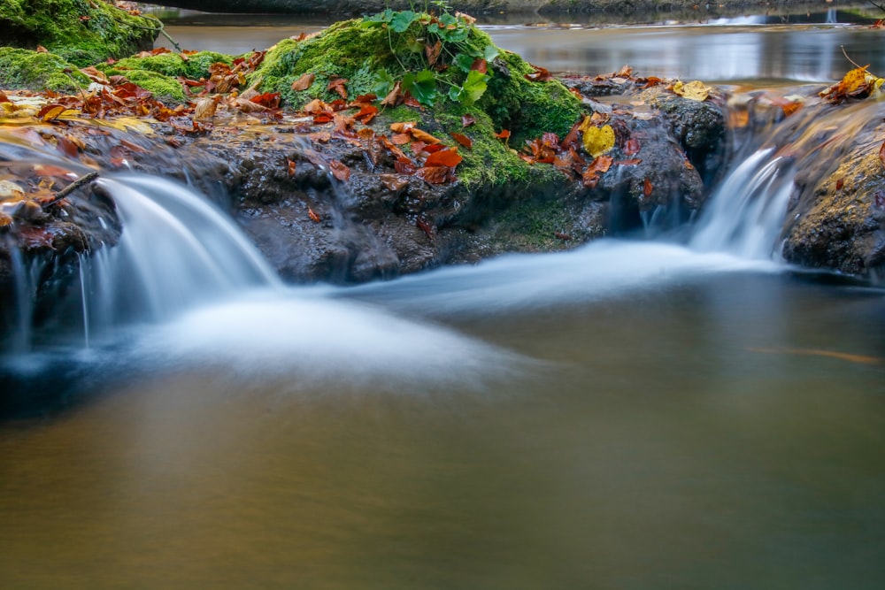 waterfall and spring landscape