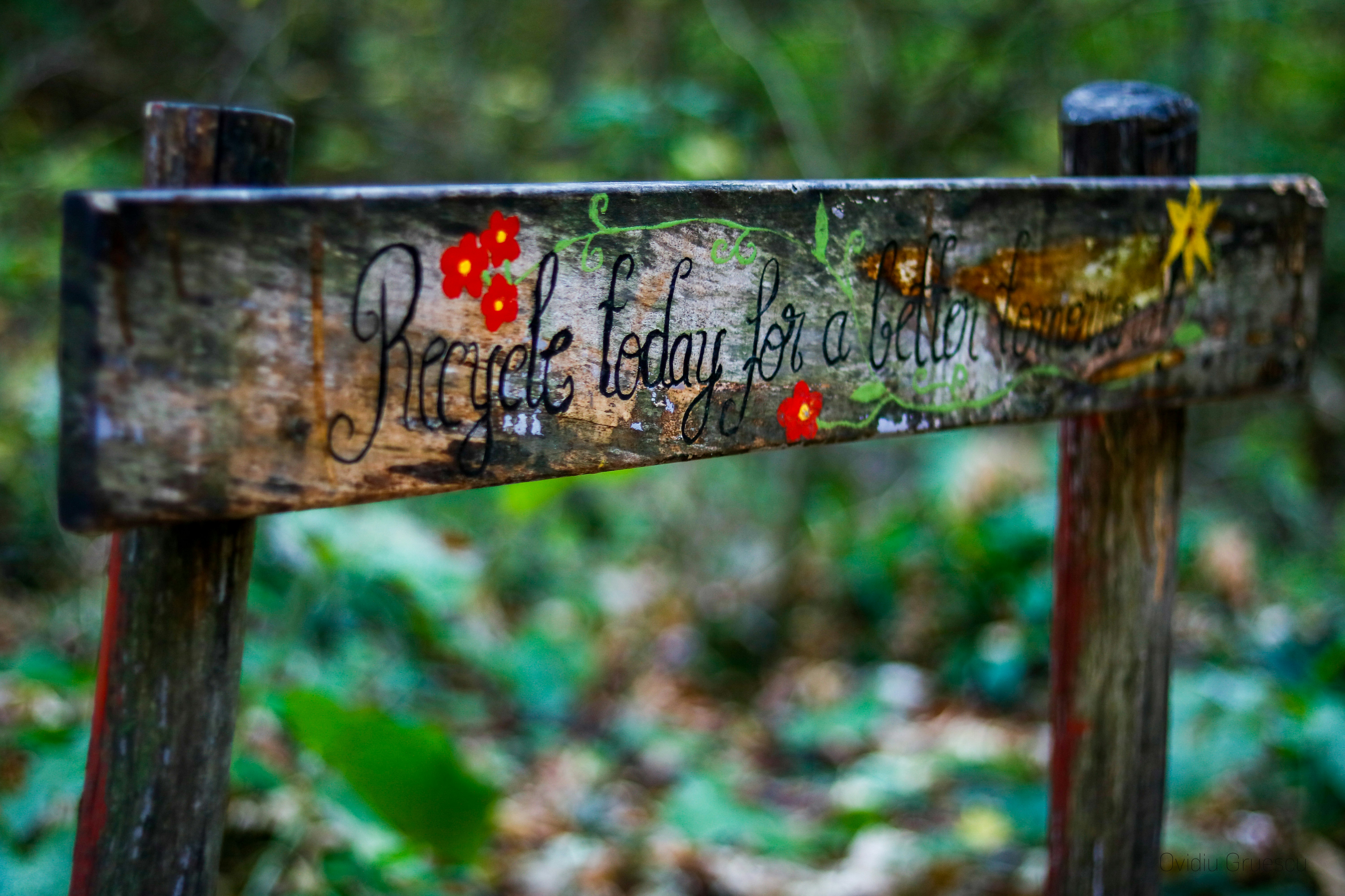 Photo by ovidiugruescu