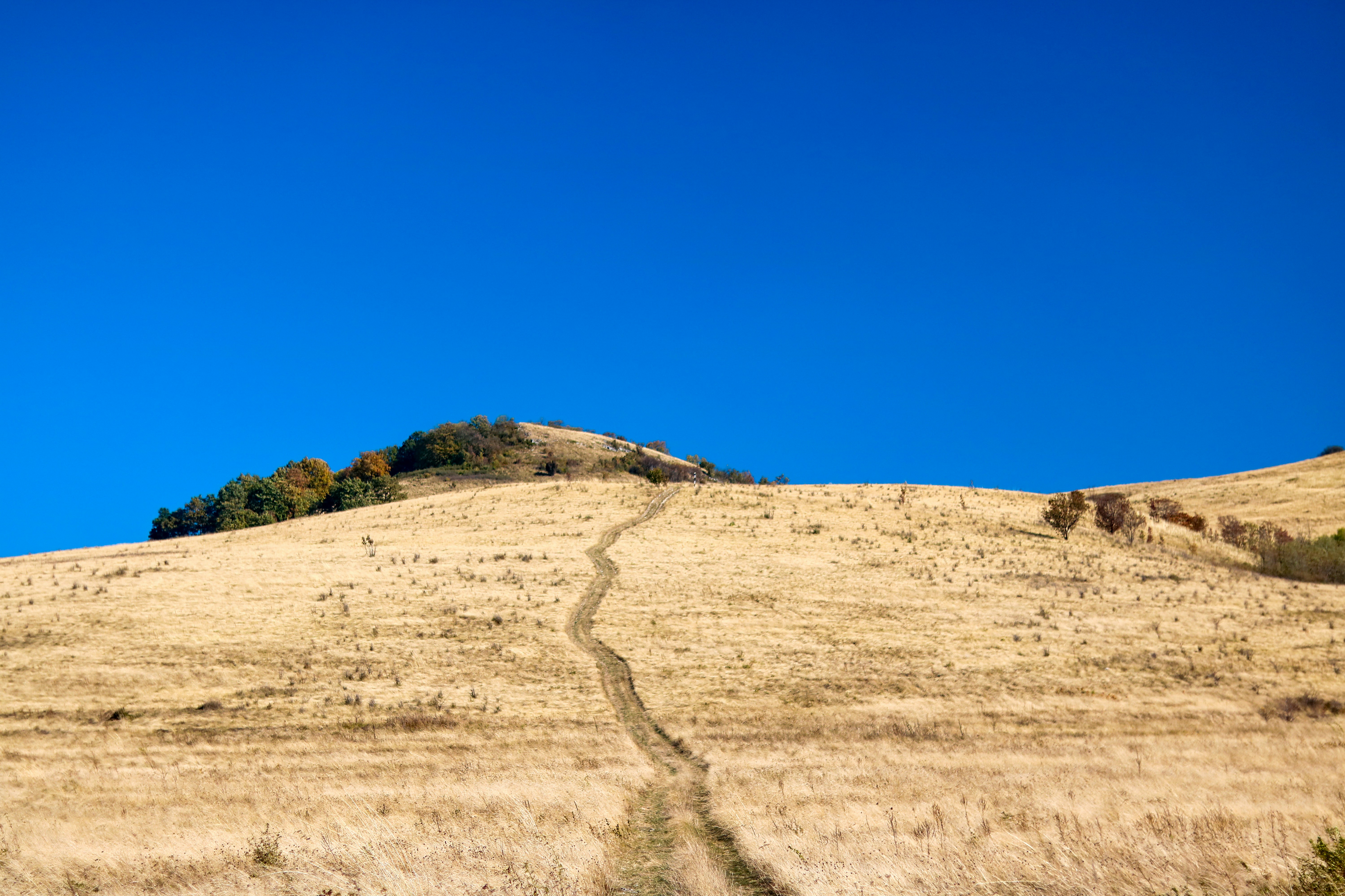 Photo by ovidiugruescu