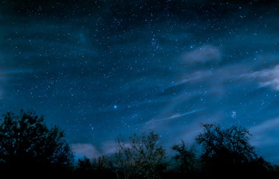 An artistic representation of various book genres under a night sky.